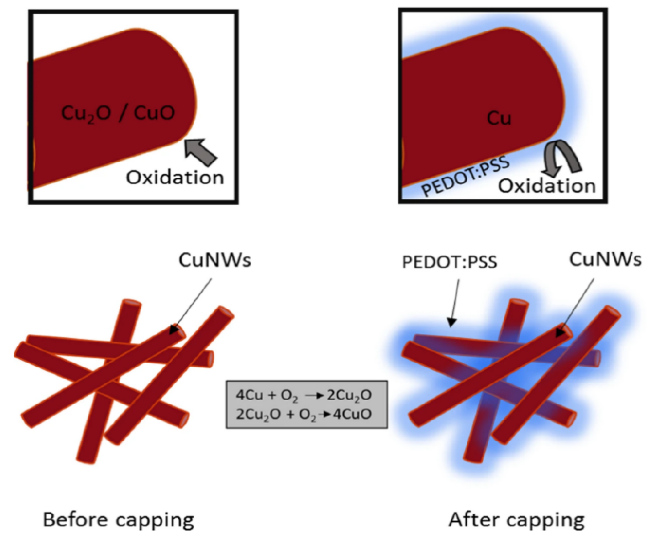 Coatings 15 00465 g010