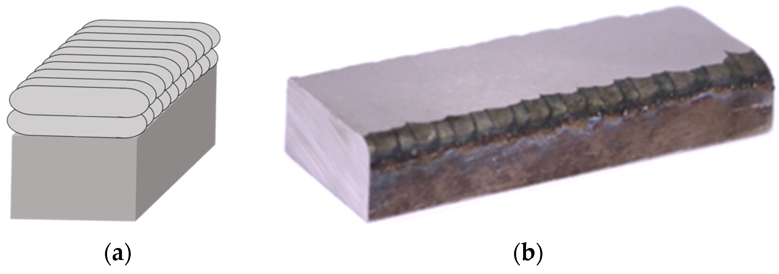 Coatings 15 00468 g003