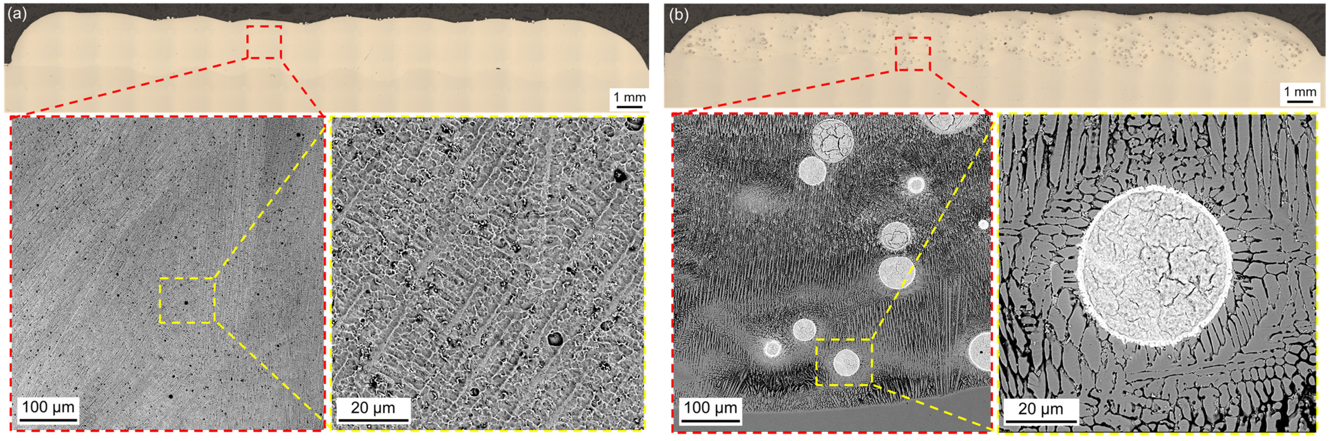 Coatings 15 00468 g008