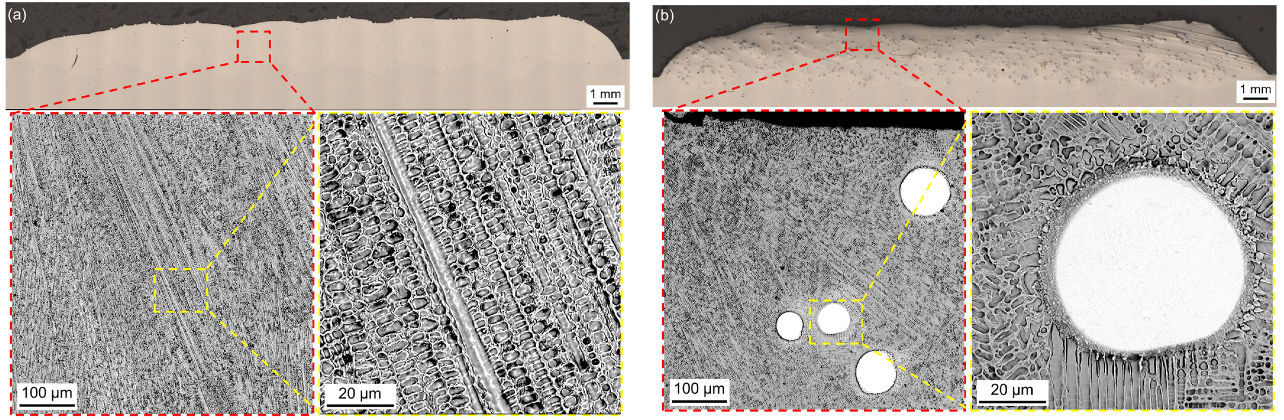 Coatings 15 00468 g009