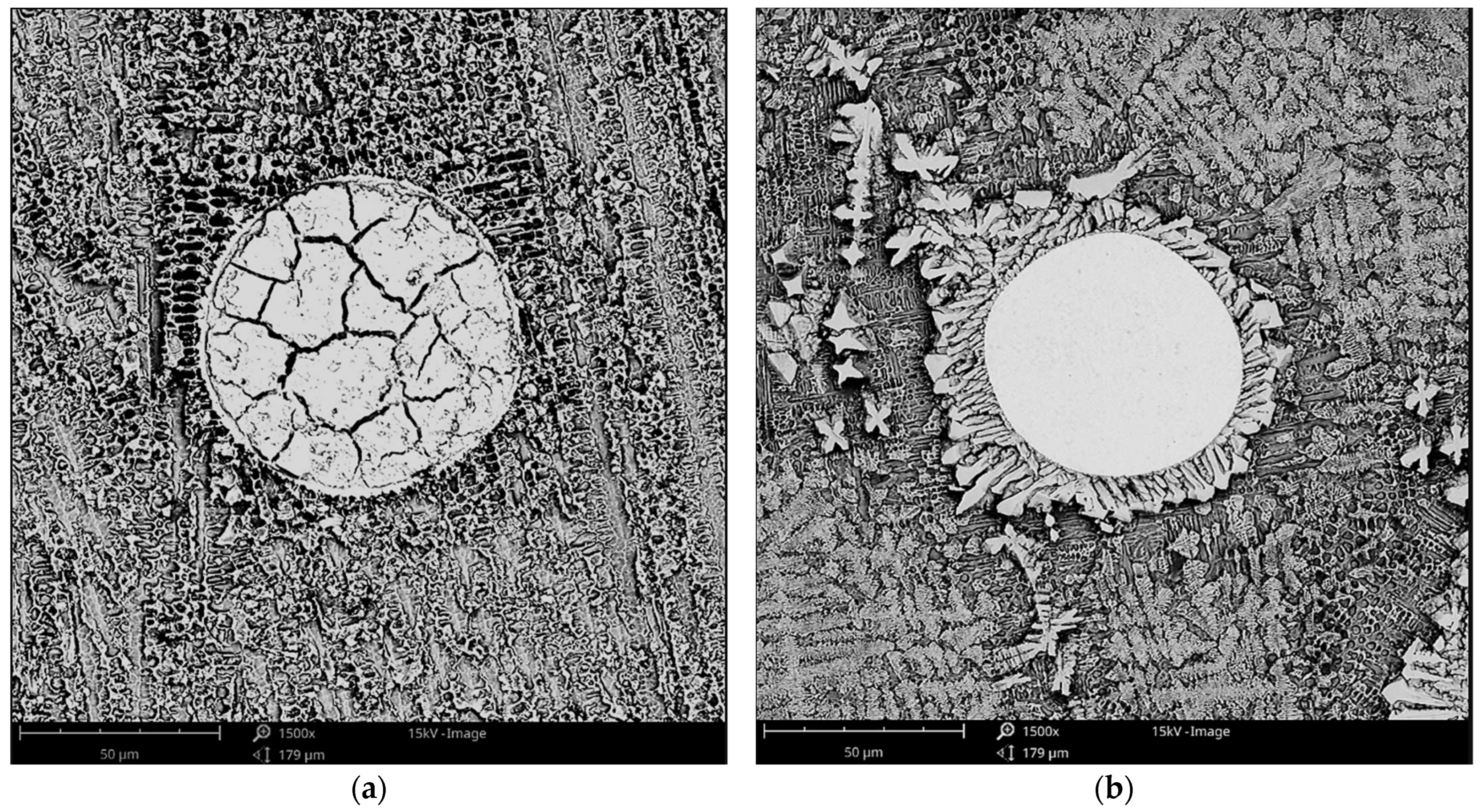 Coatings 15 00468 g010