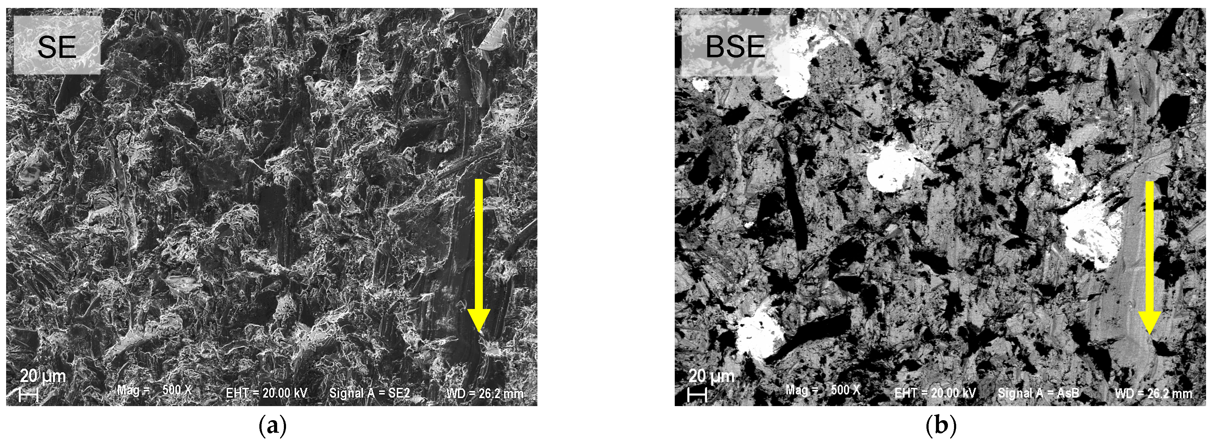 Coatings 15 00468 g015