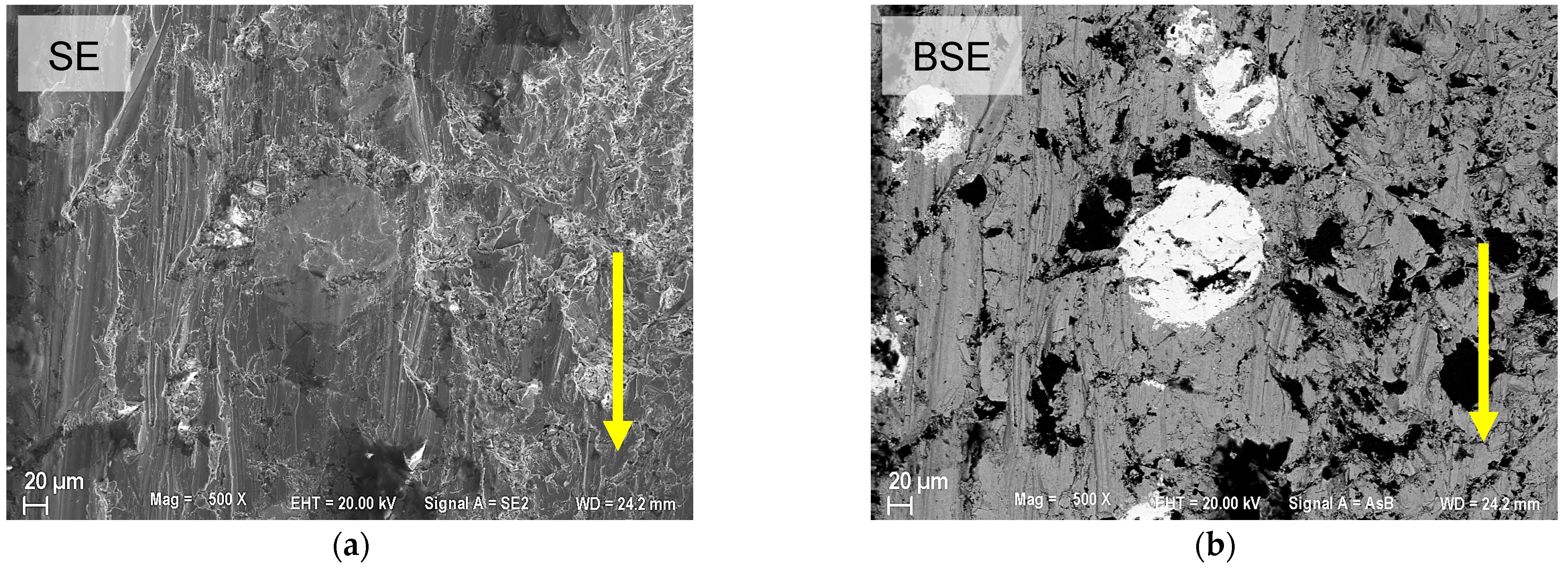 Coatings 15 00468 g016