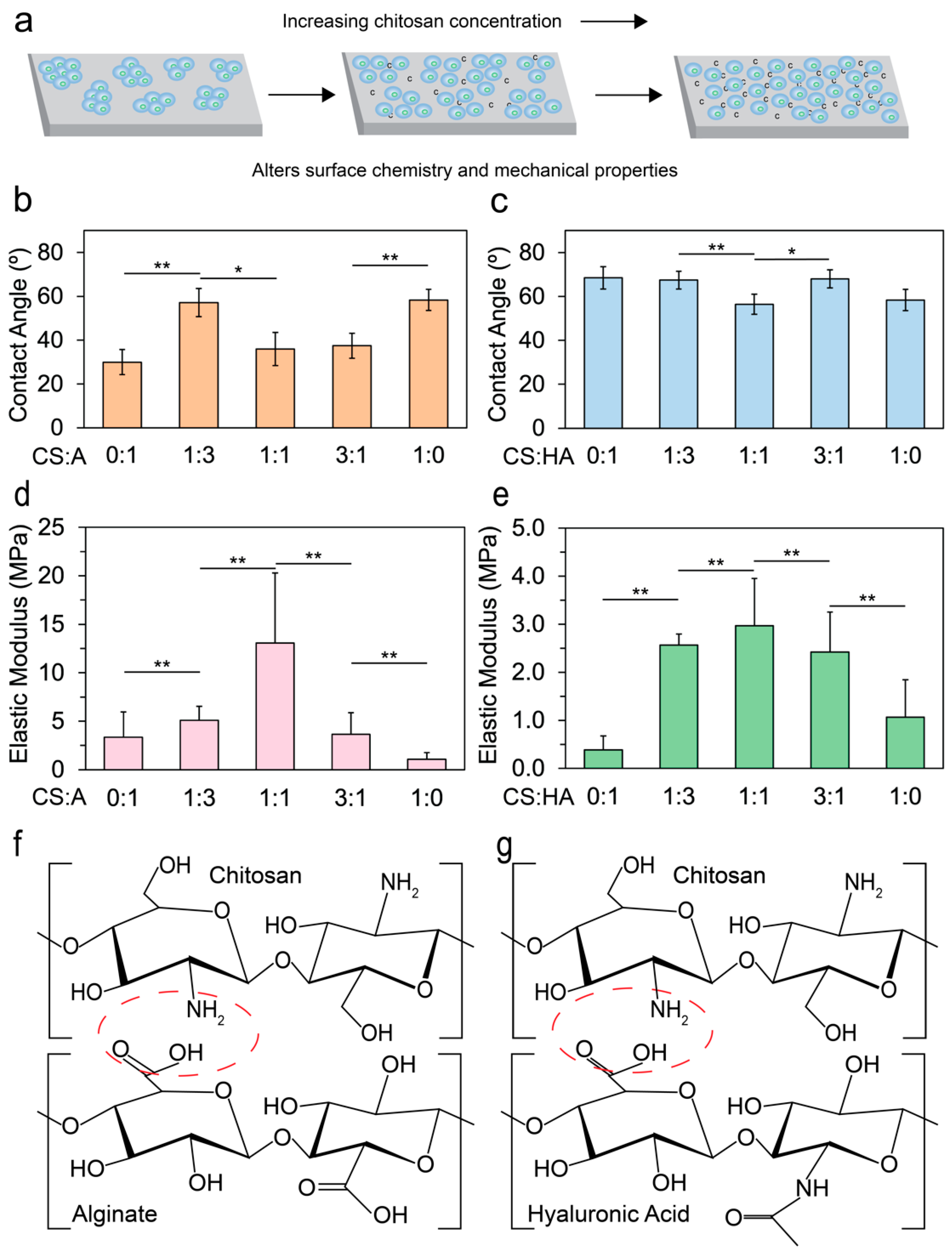 Coatings 15 00473 g001
