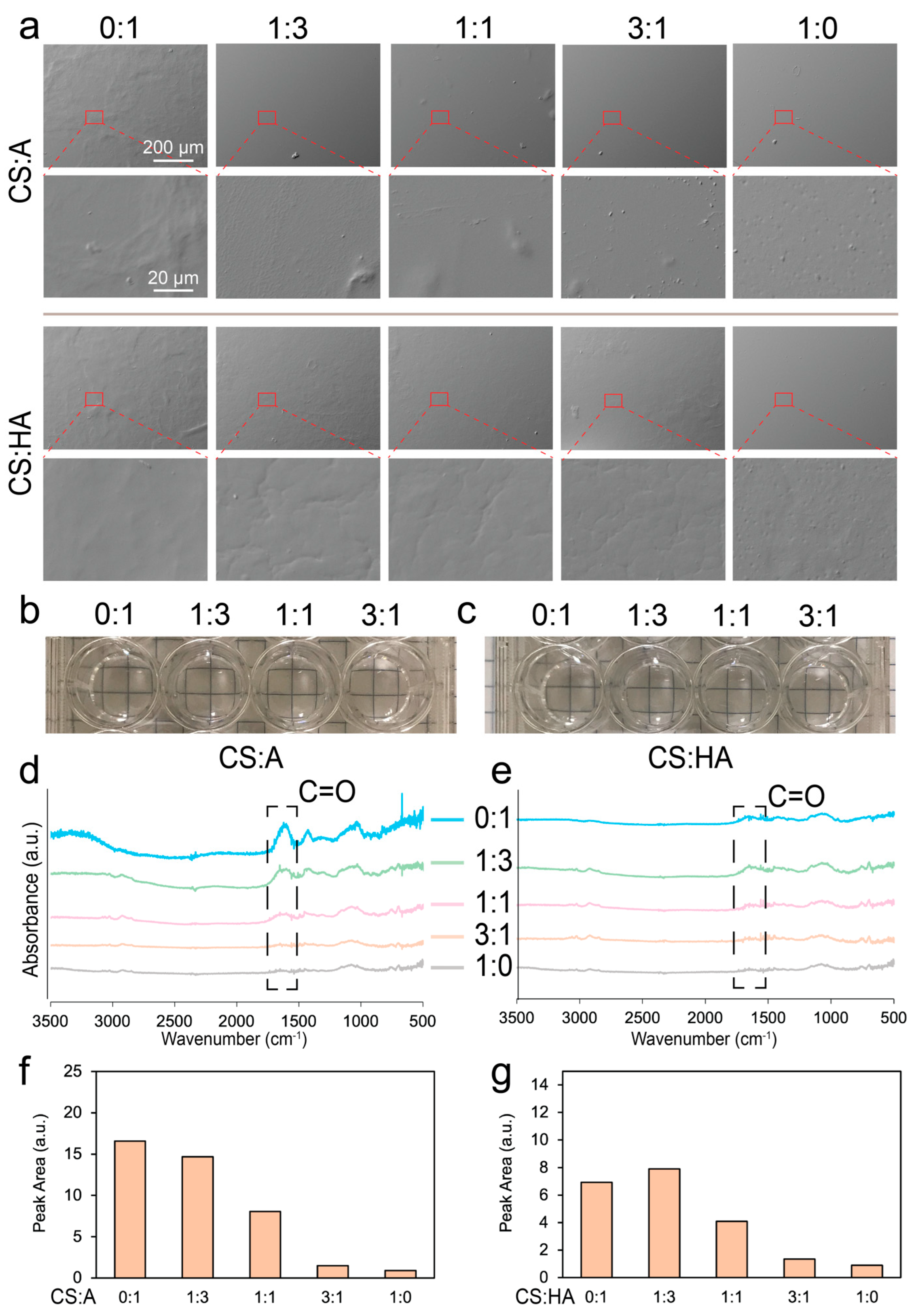 Coatings 15 00473 g002