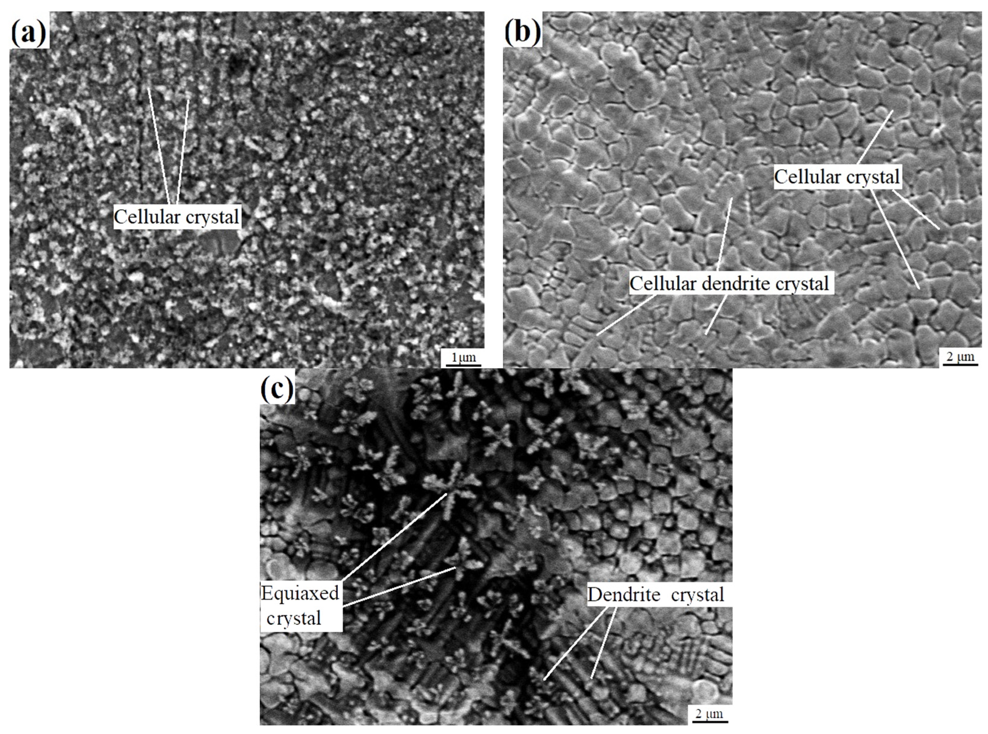 Coatings 15 00481 g008