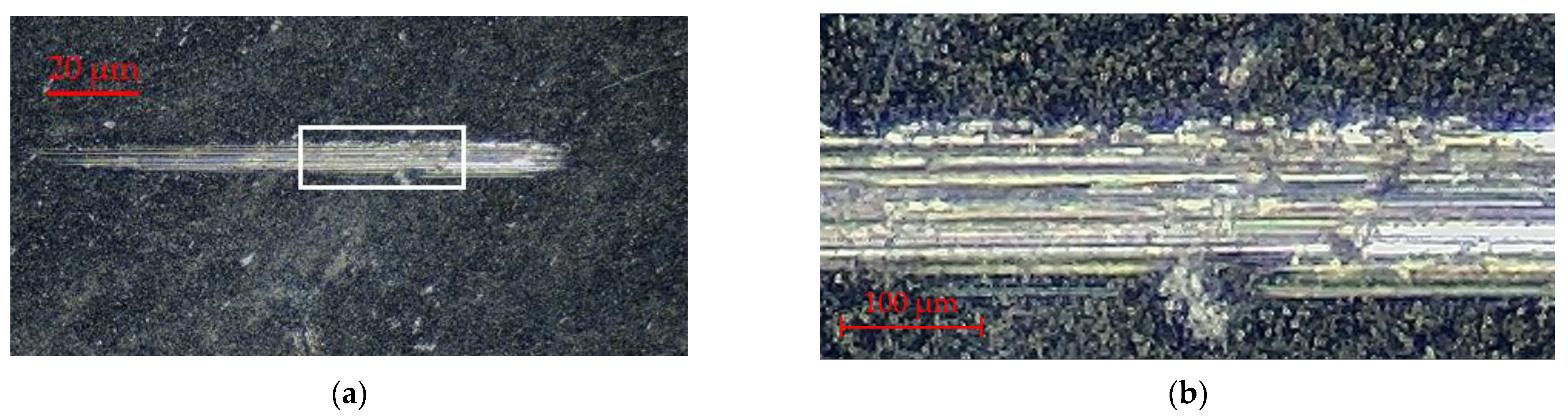 Coatings 15 00487 g012