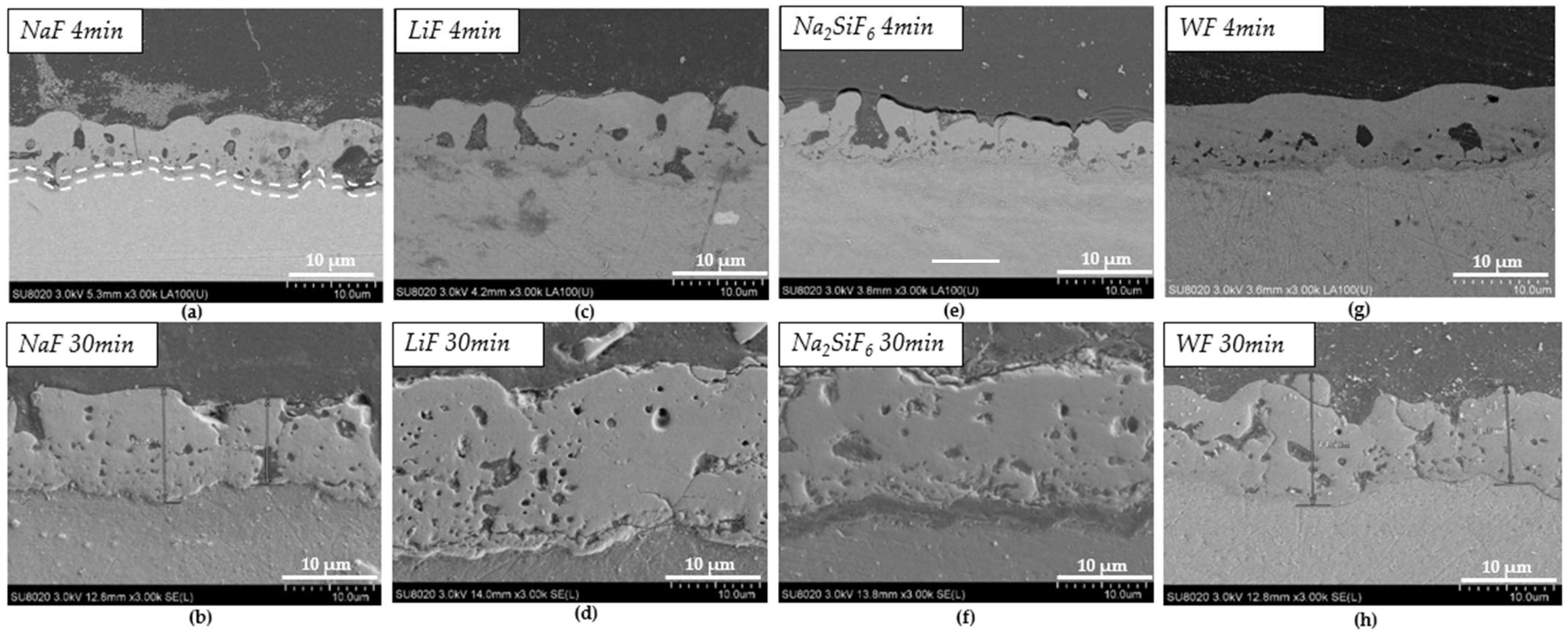 Coatings 15 00498 g003