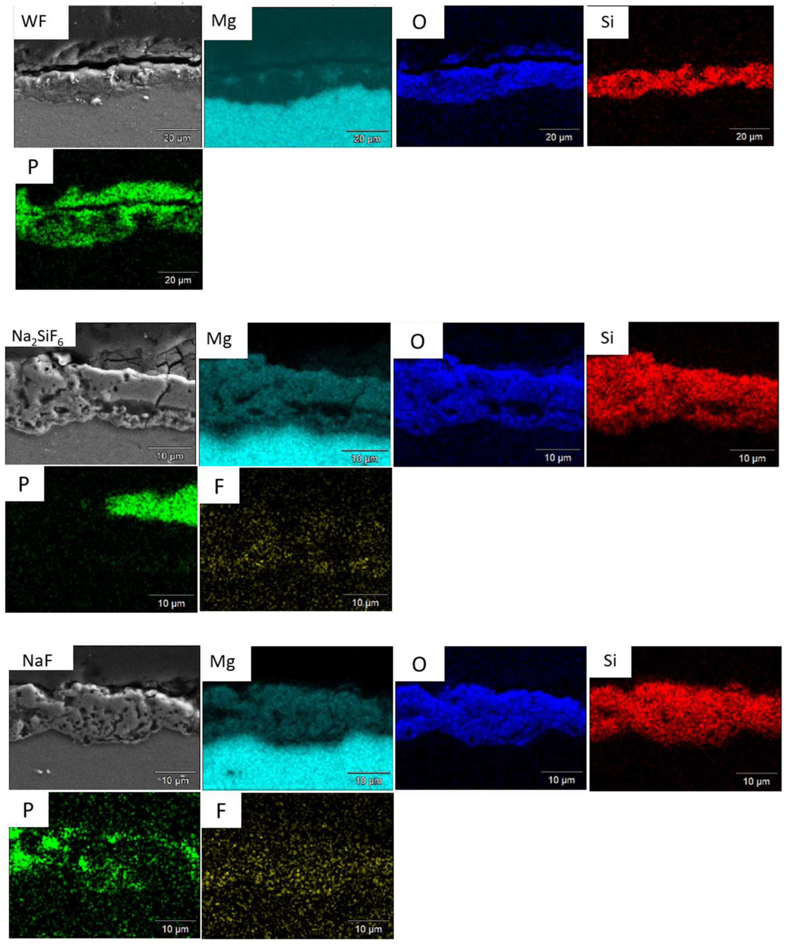 Coatings 15 00498 g016