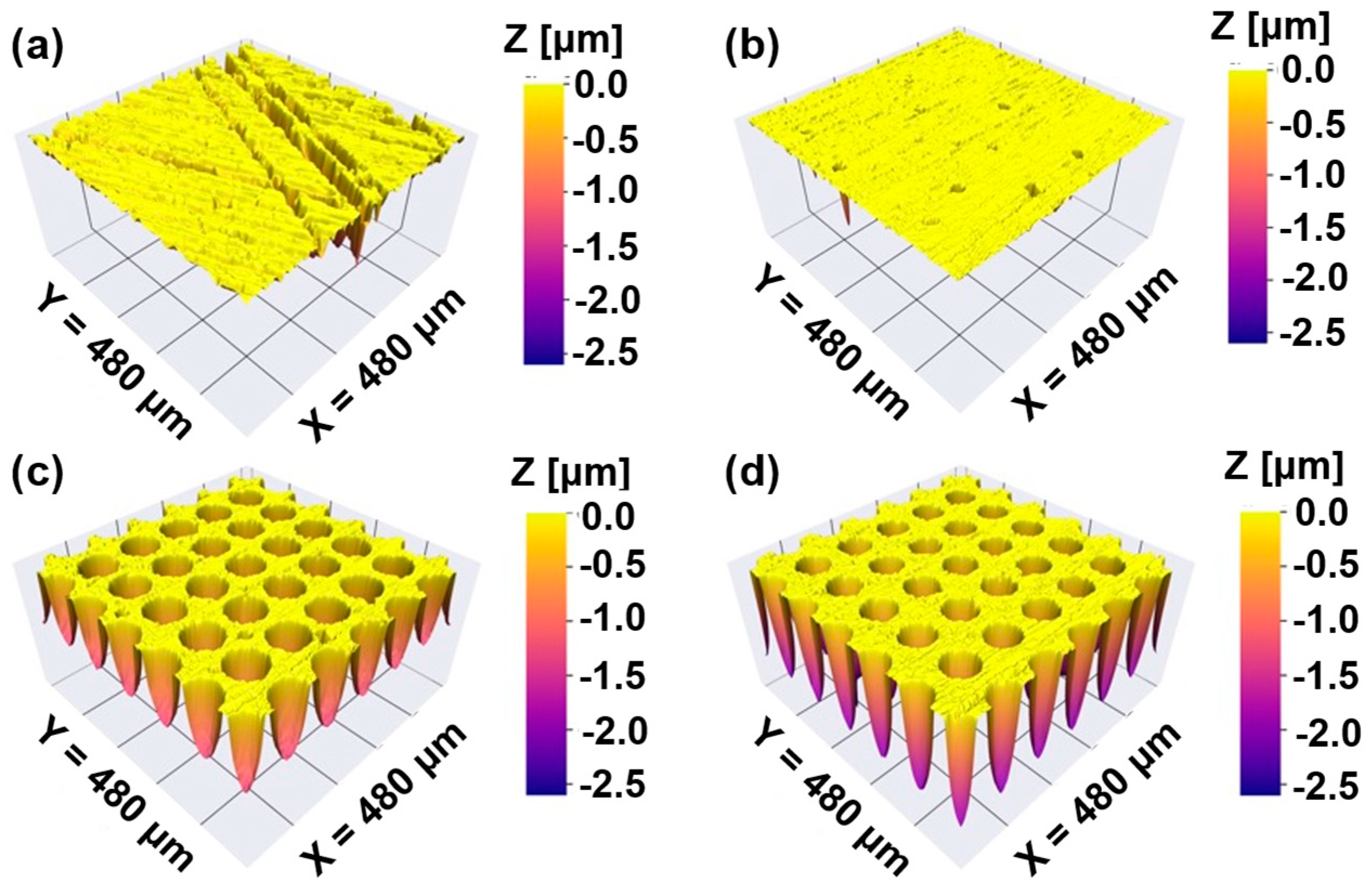 Coatings 15 00528 g001