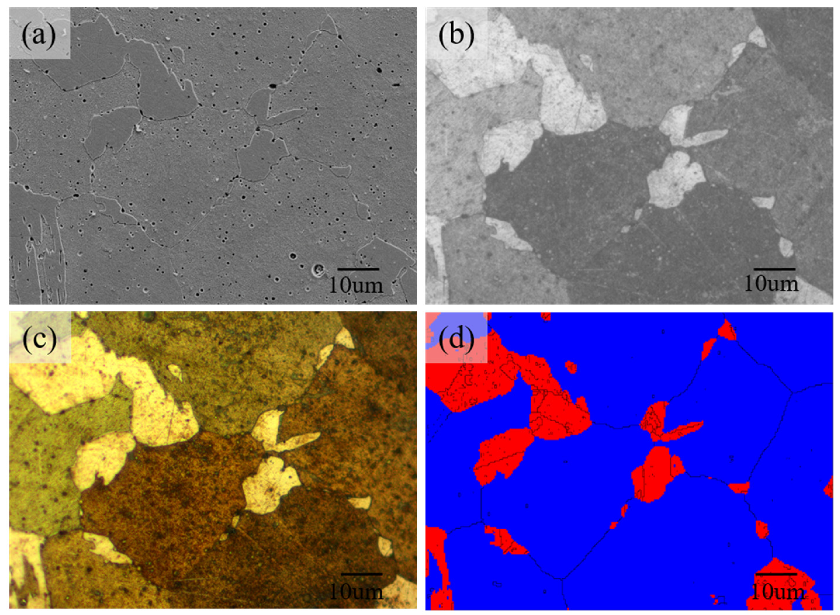 Coatings 15 00531 g002