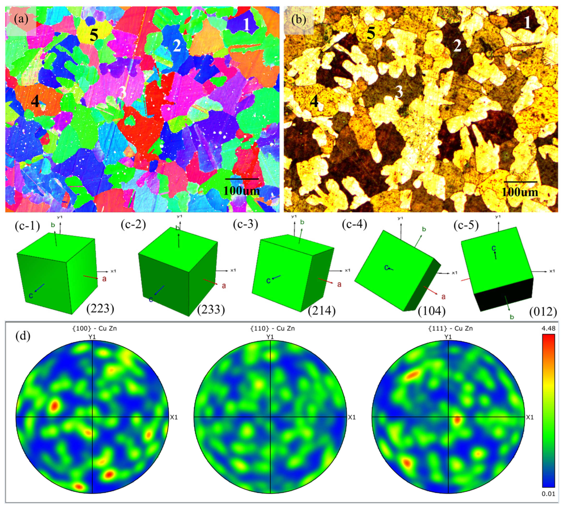 Coatings 15 00531 g005
