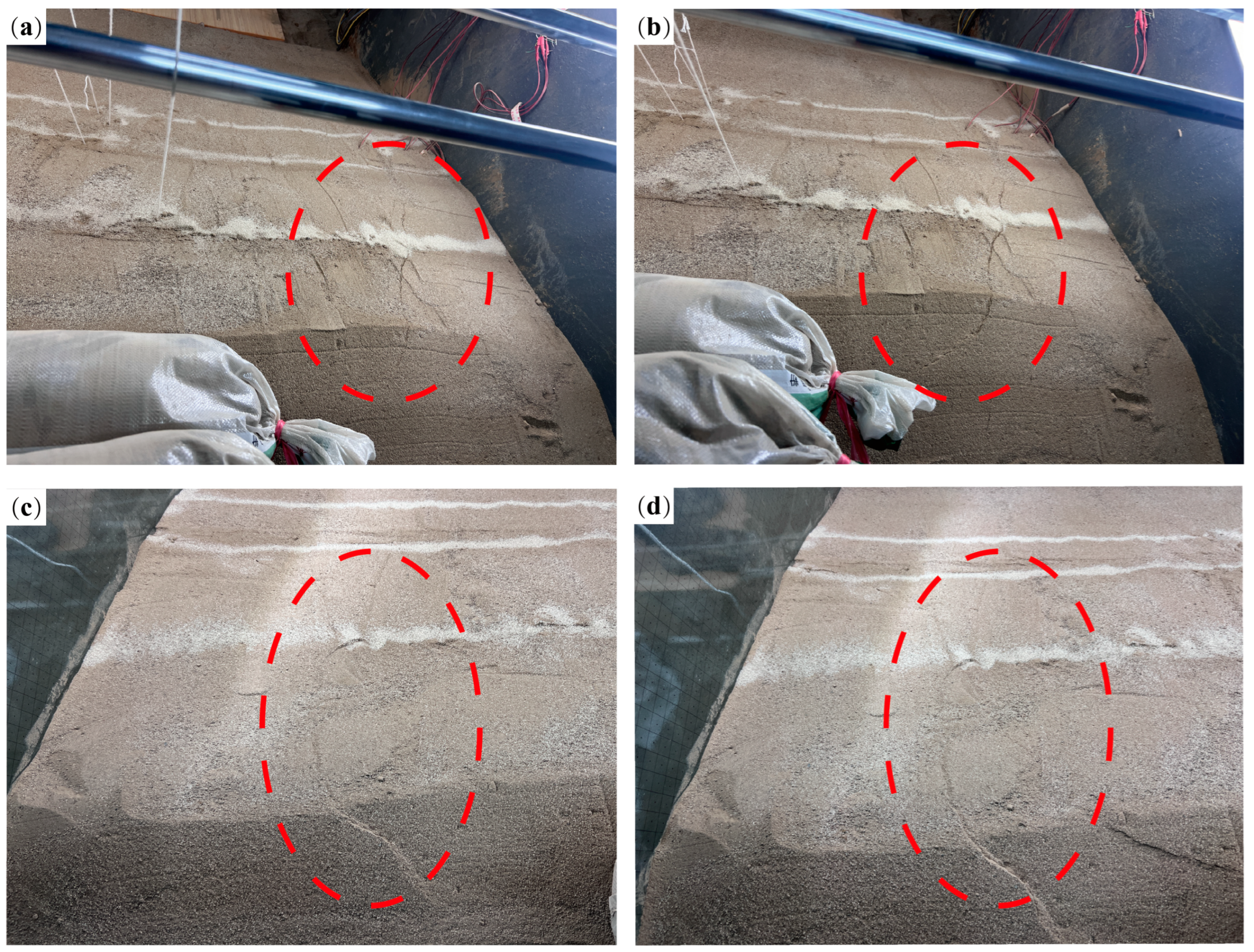 Coatings 15 00537 g011