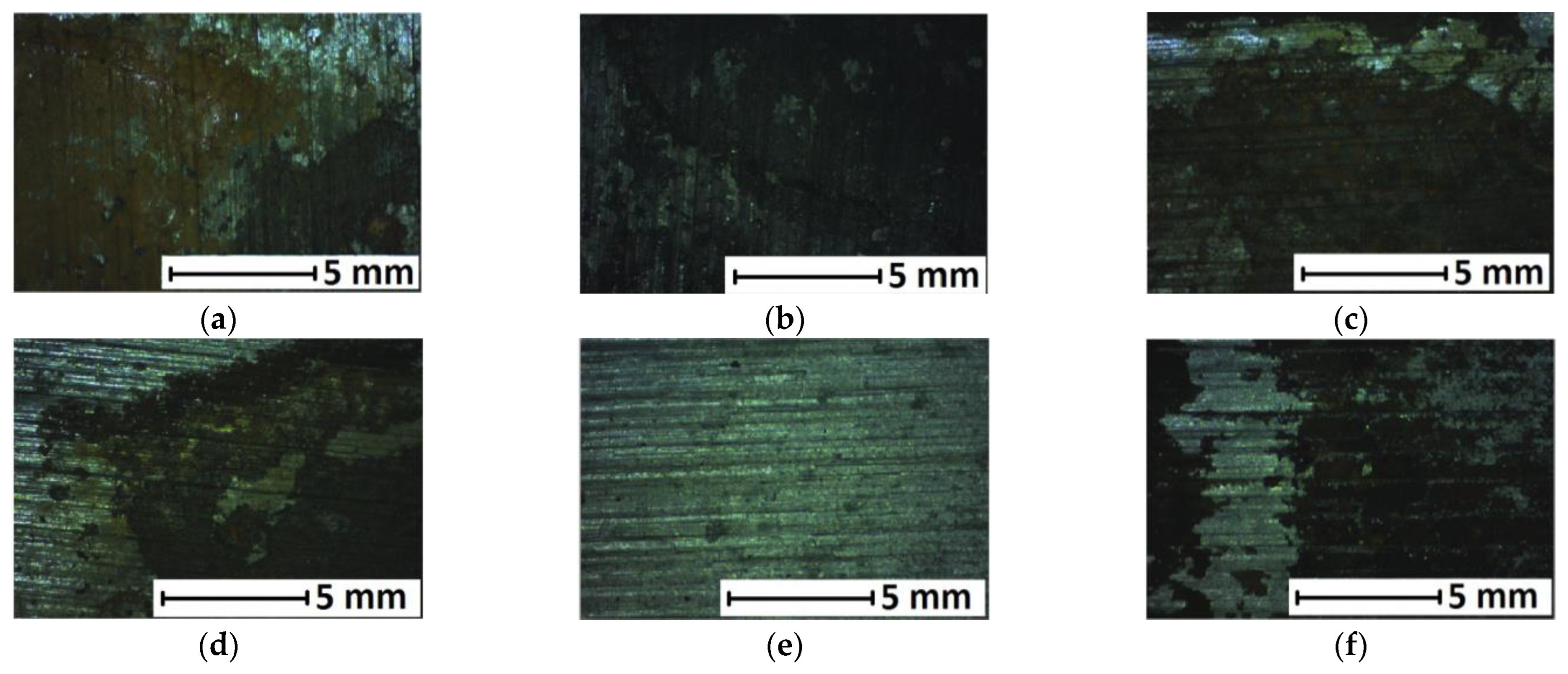 Coatings 15 00539 g008