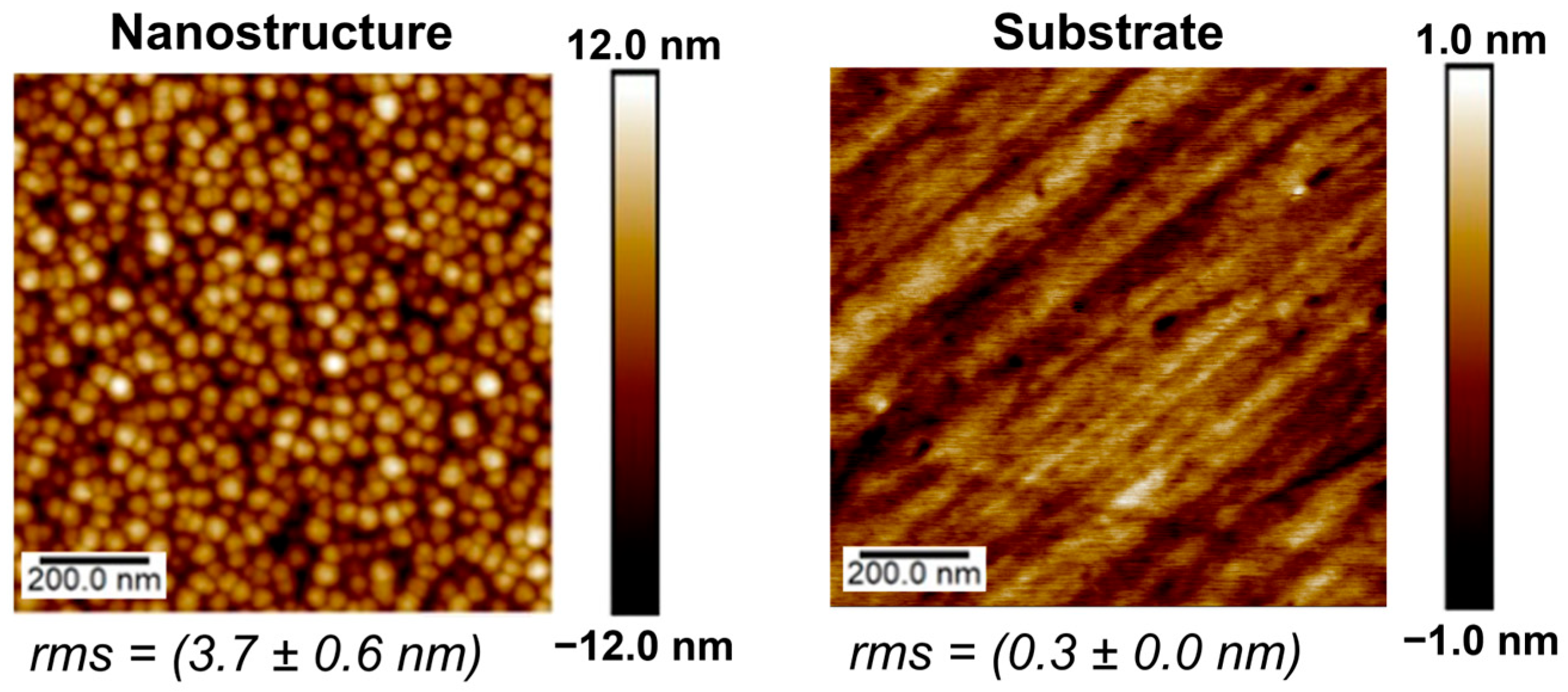 Coatings 15 00556 g004