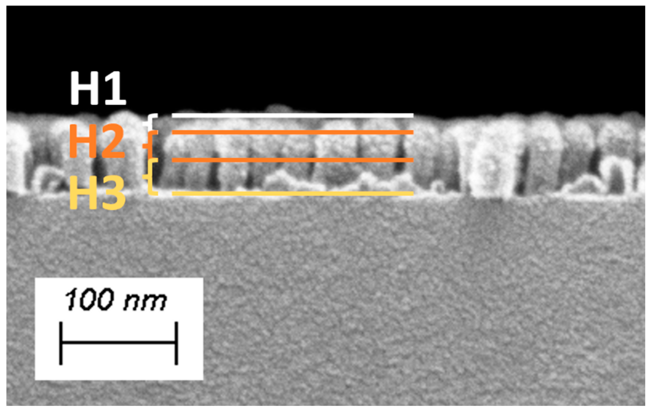 Coatings 15 00556 g007