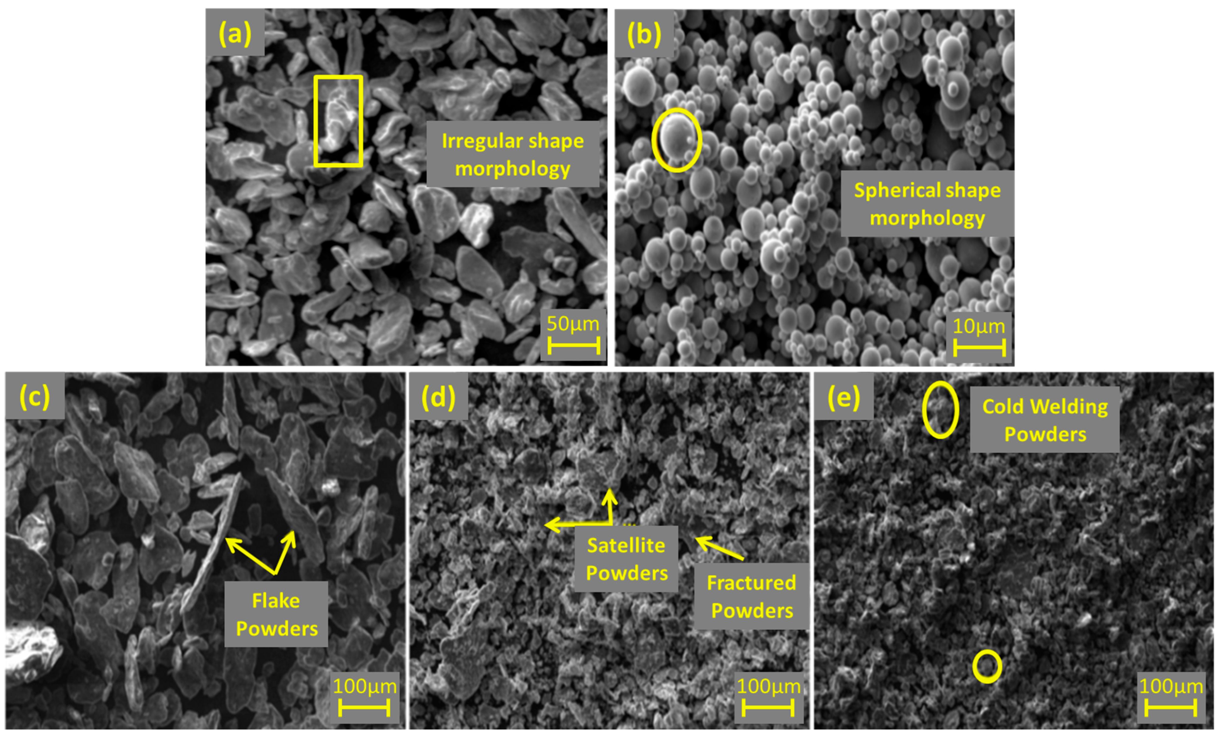 Coatings 15 00561 g001