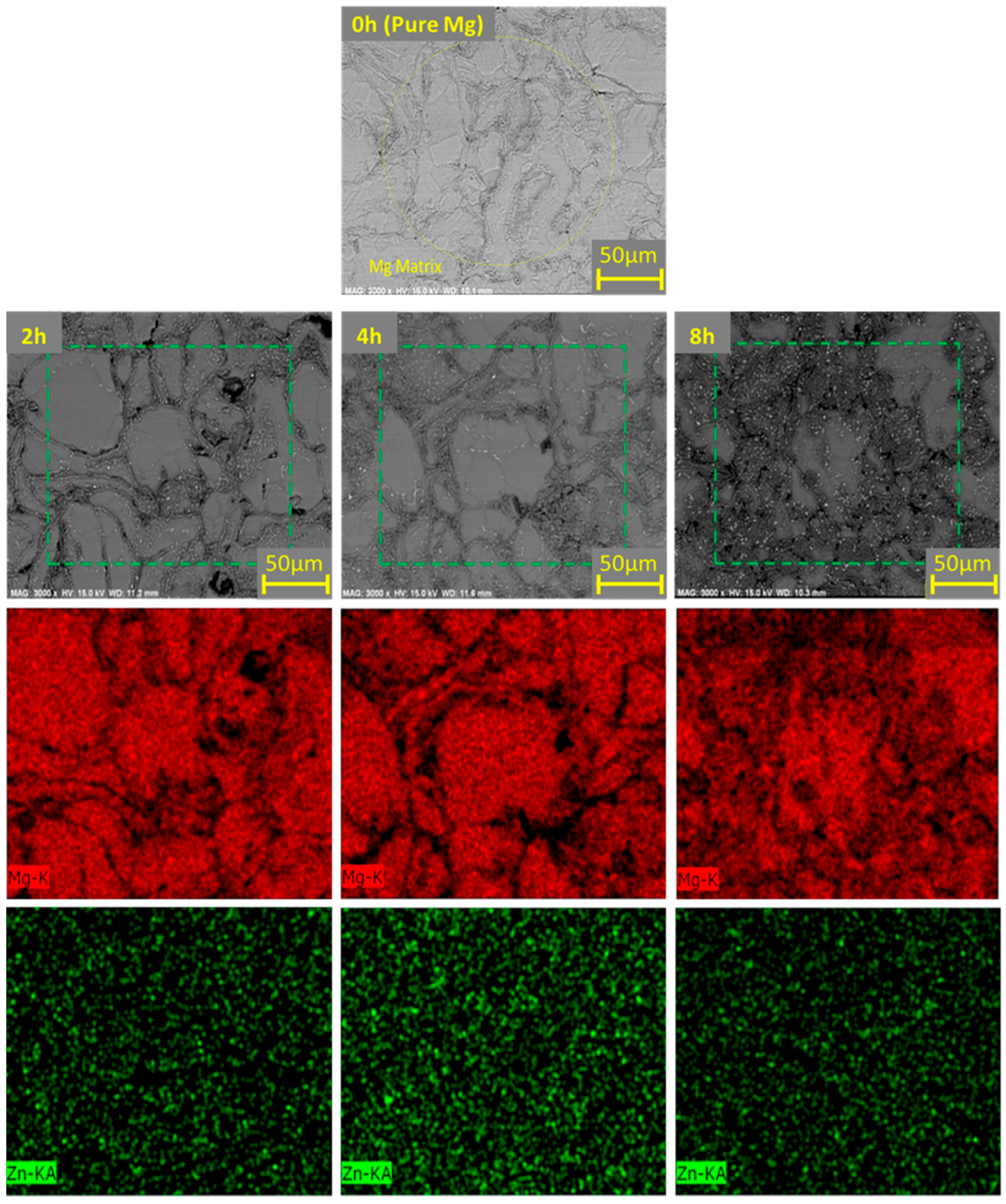 Coatings 15 00561 g004