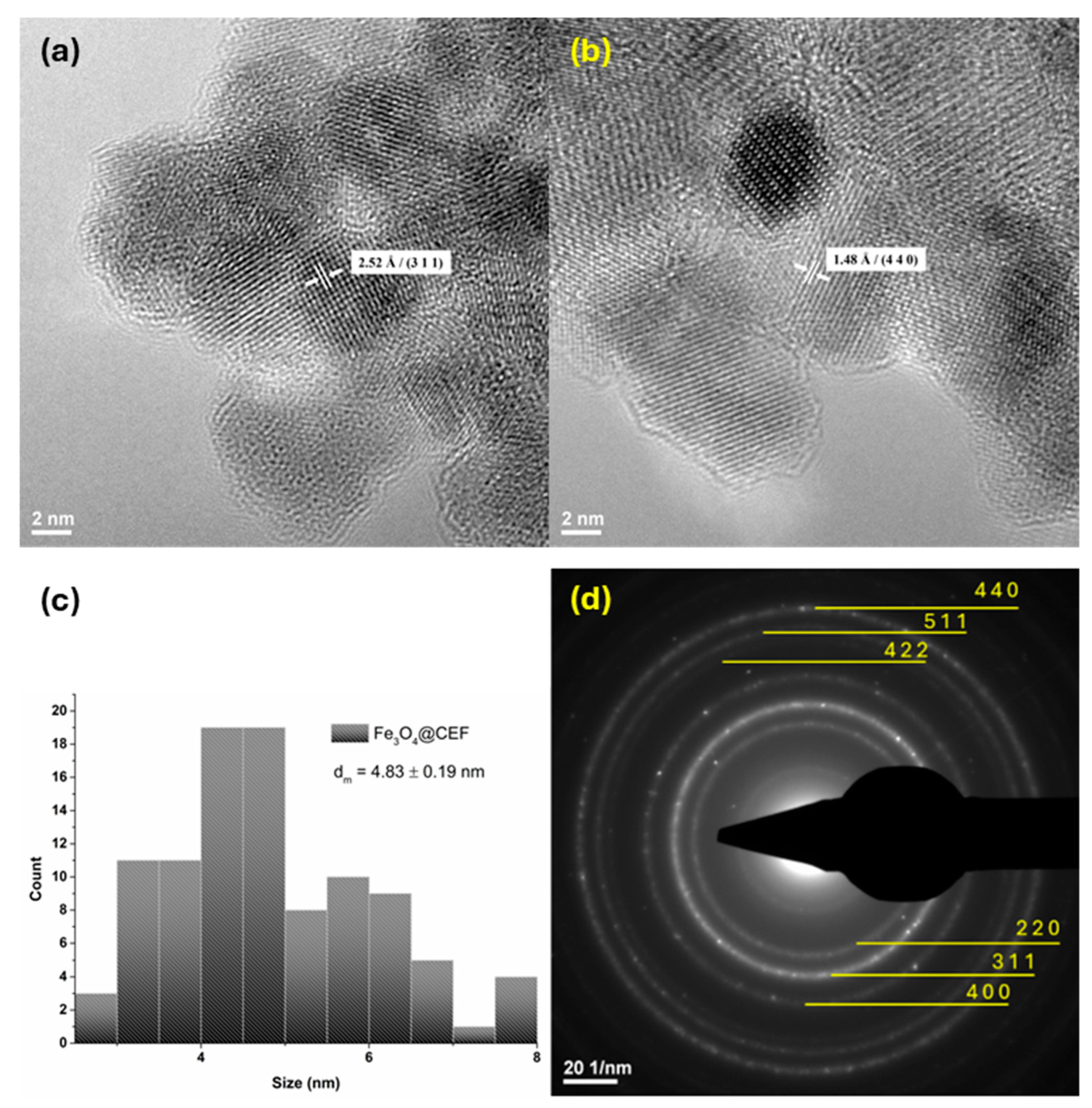 Coatings 15 00584 g003