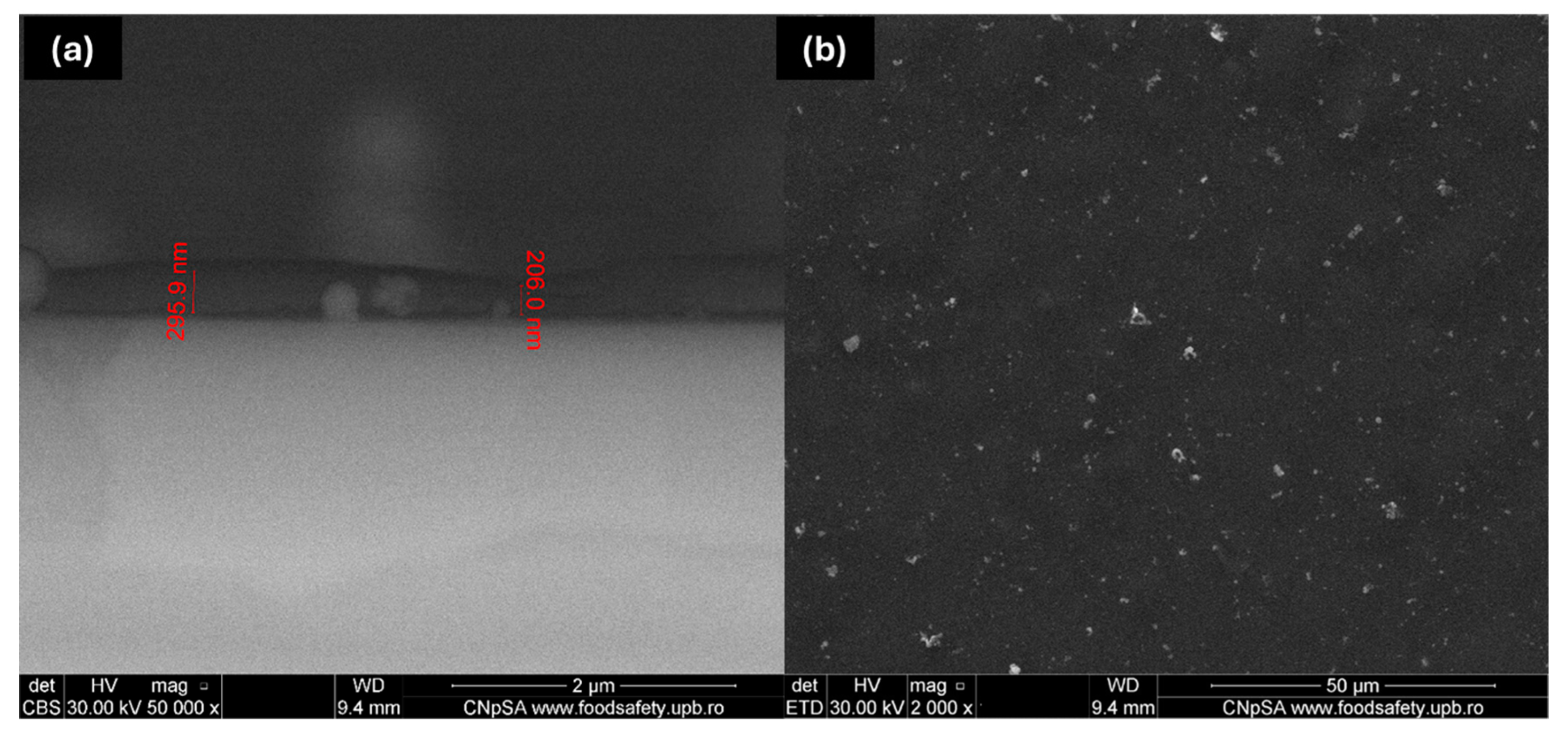 Coatings 15 00584 g008