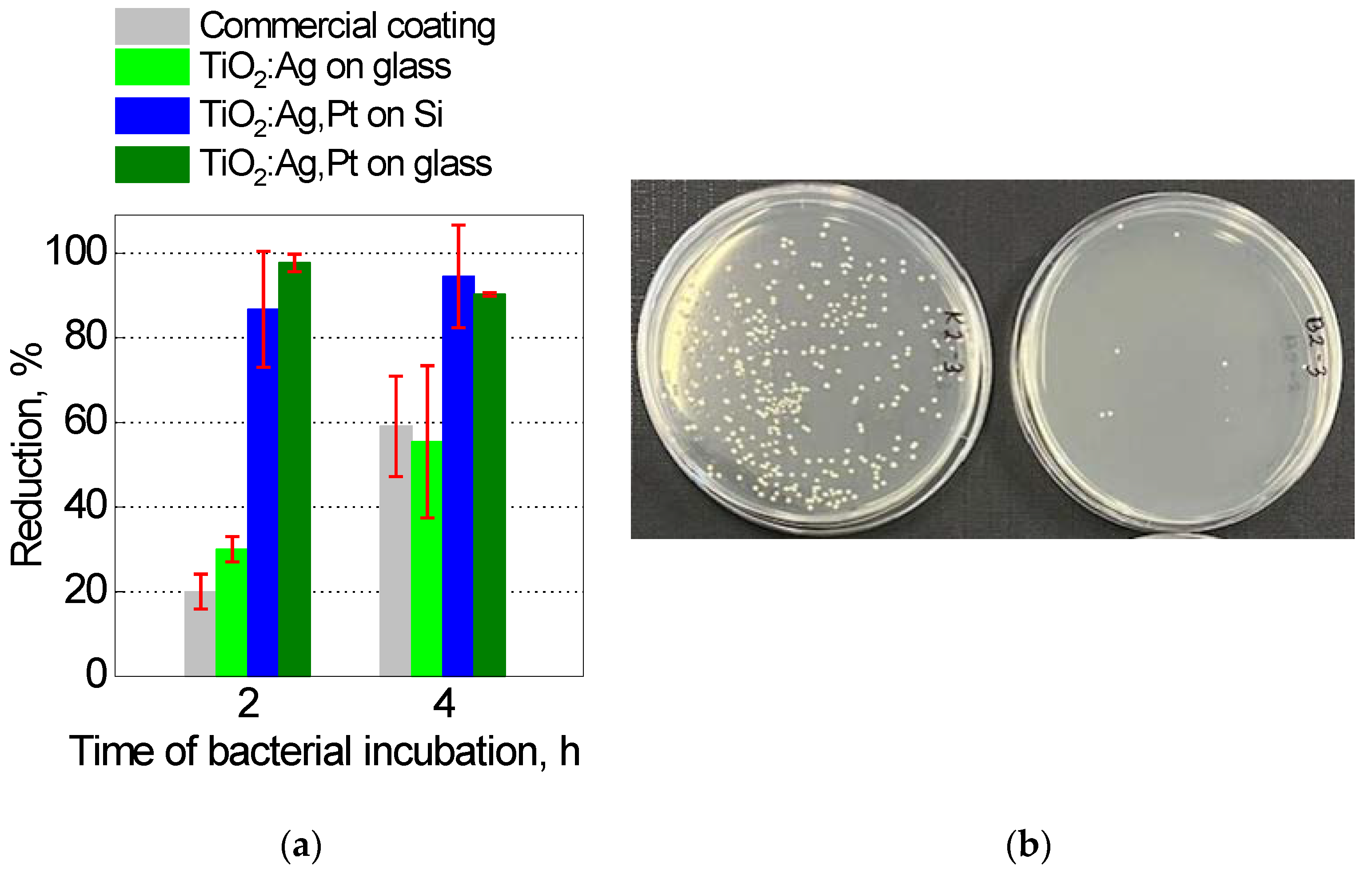 Coatings 15 00587 g015