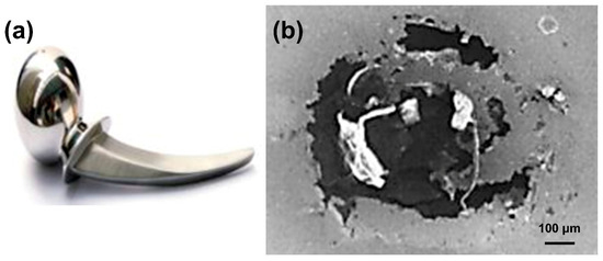Coatings 15 00599 g002