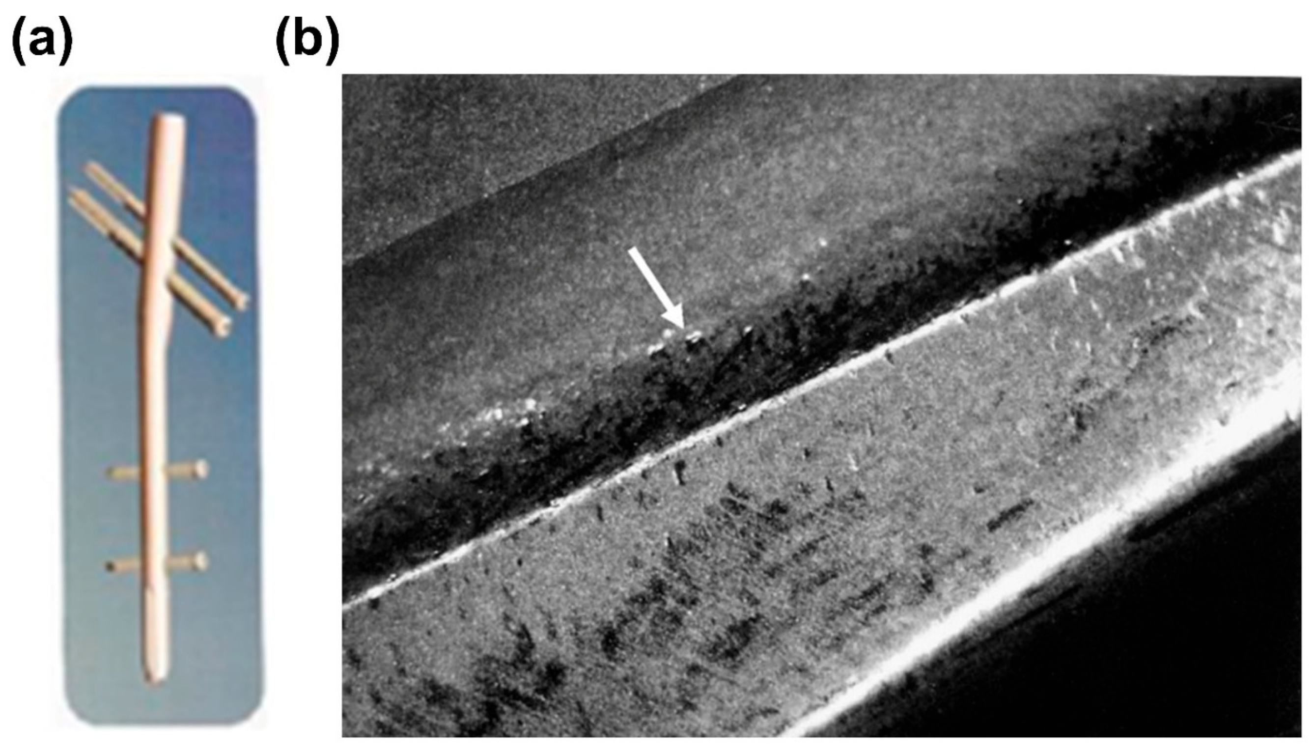 Coatings 15 00599 g003
