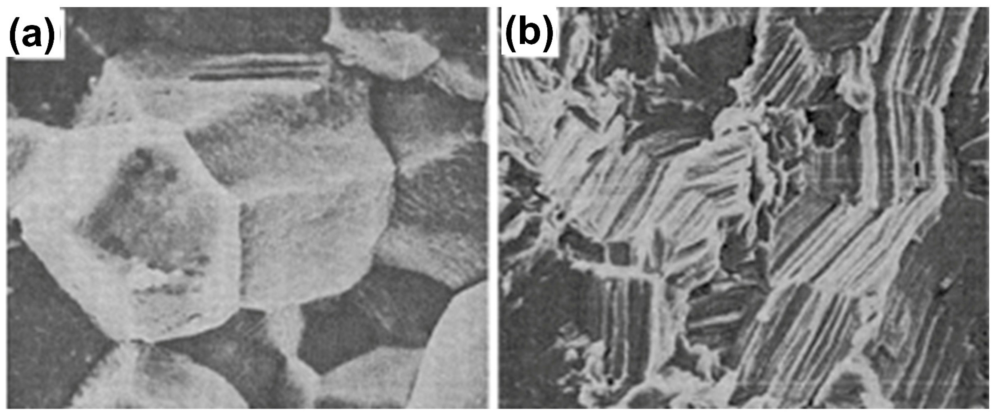 Coatings 15 00599 g004