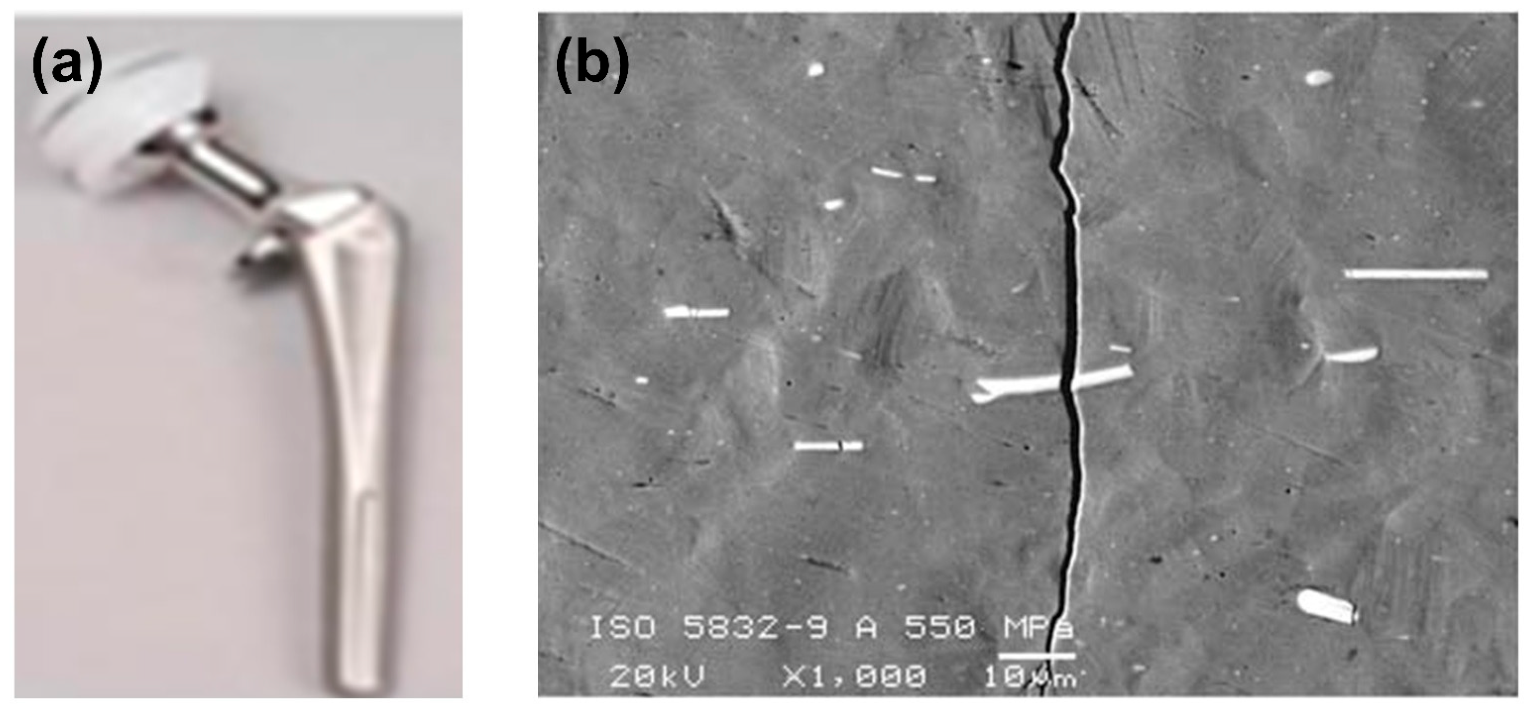 Coatings 15 00599 g005
