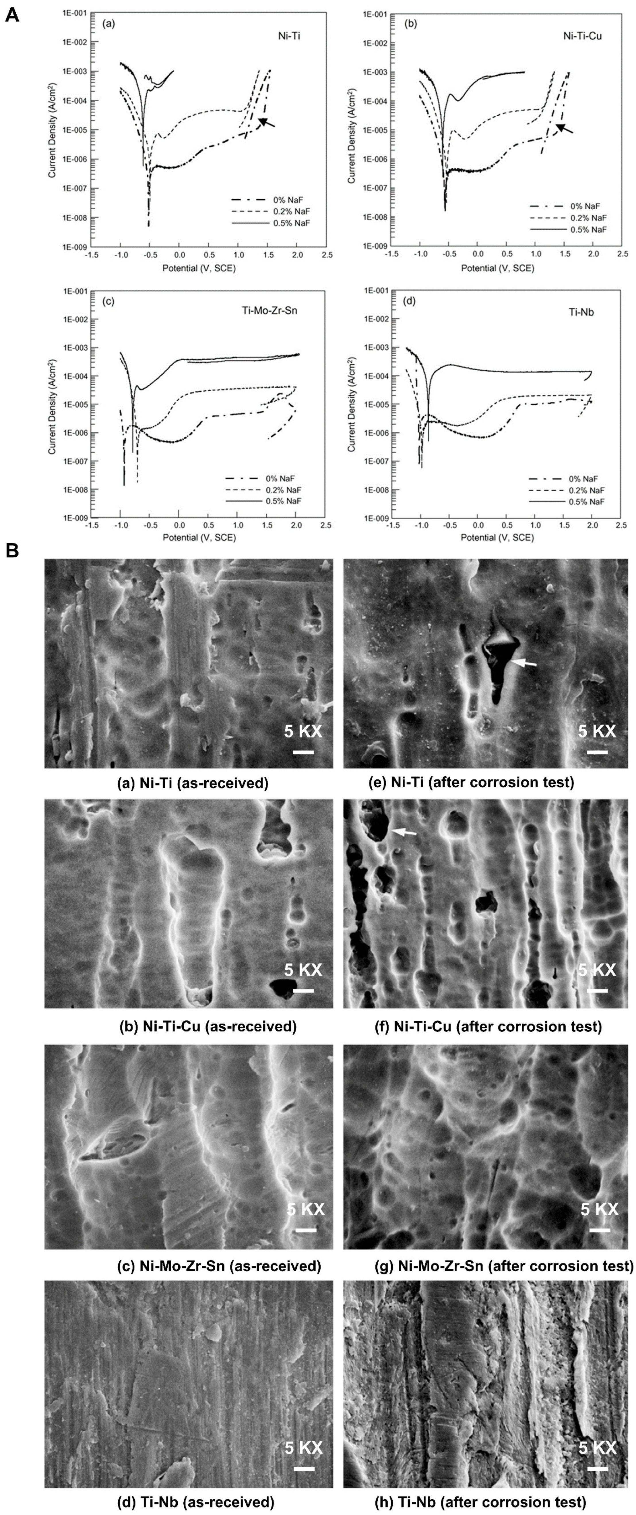 Coatings 15 00599 g008