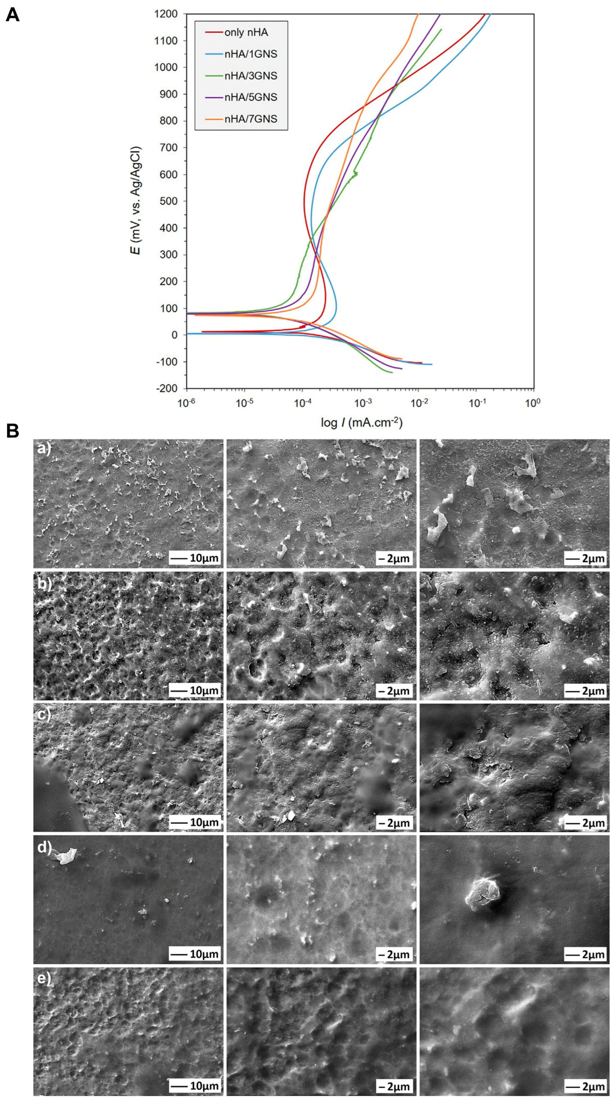 Coatings 15 00599 g013