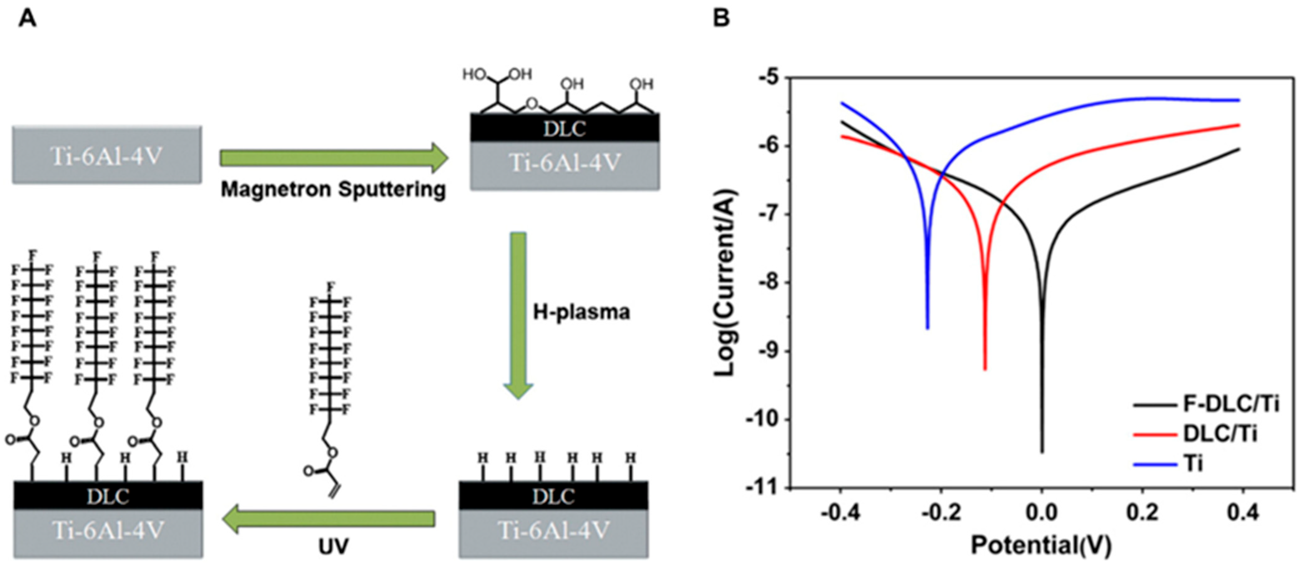 Coatings 15 00599 g017