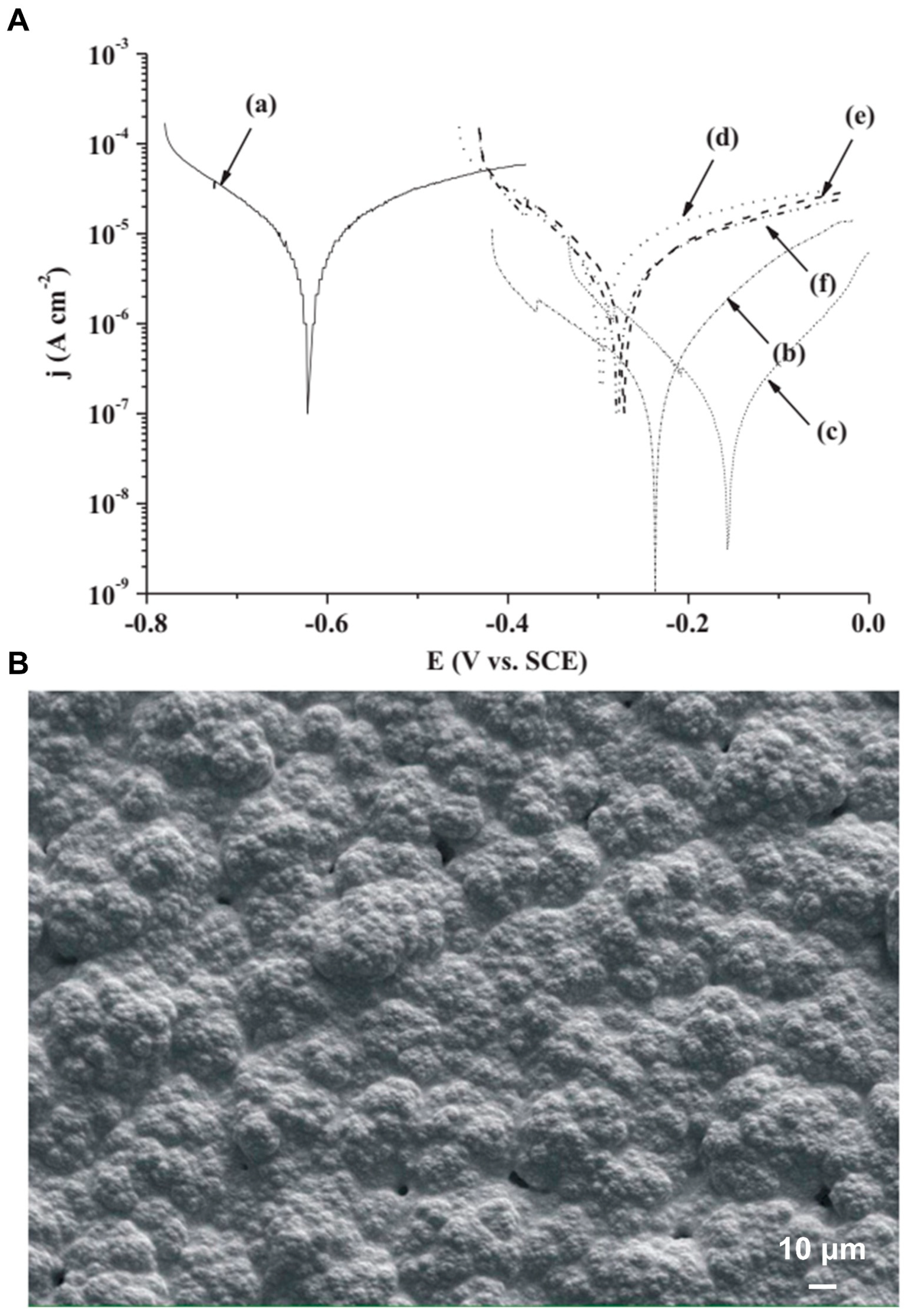 Coatings 15 00599 g020