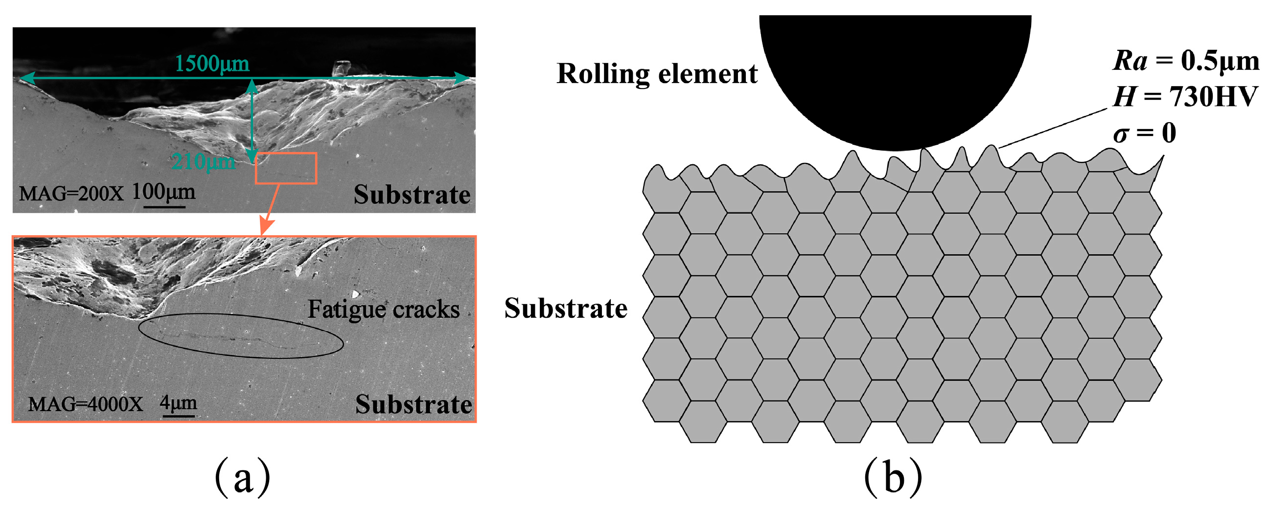 Coatings 15 00616 g014