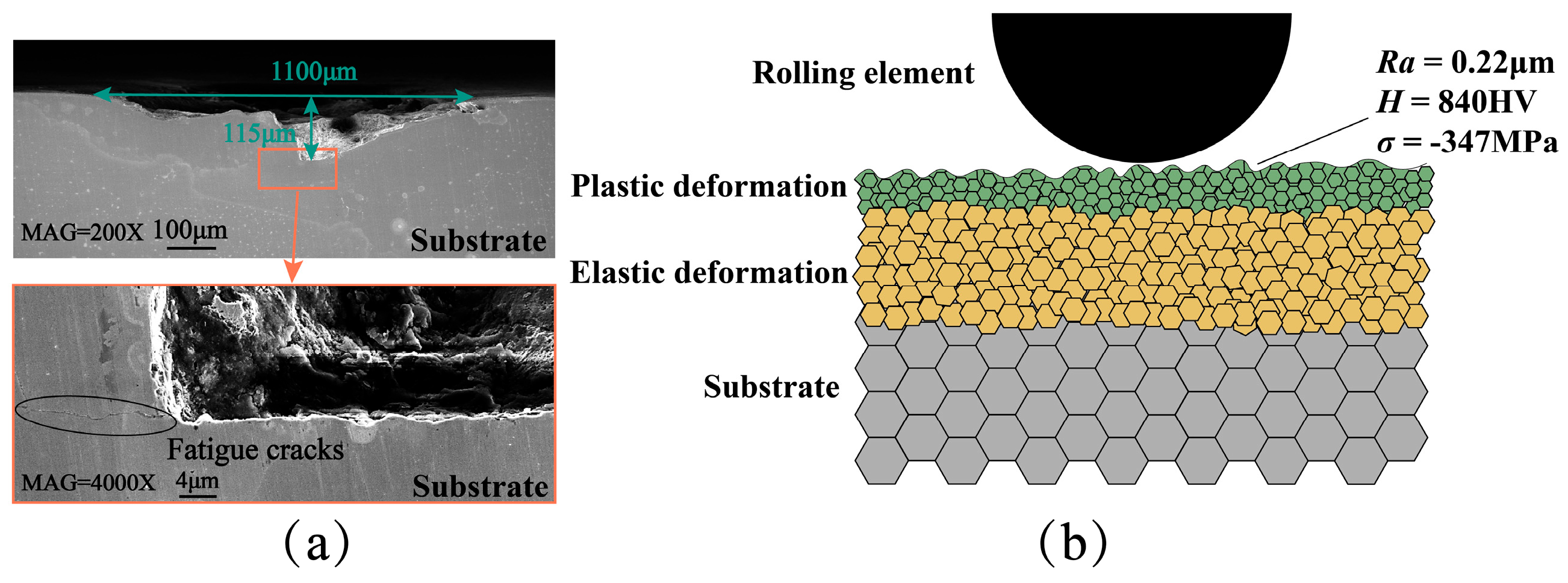 Coatings 15 00616 g015
