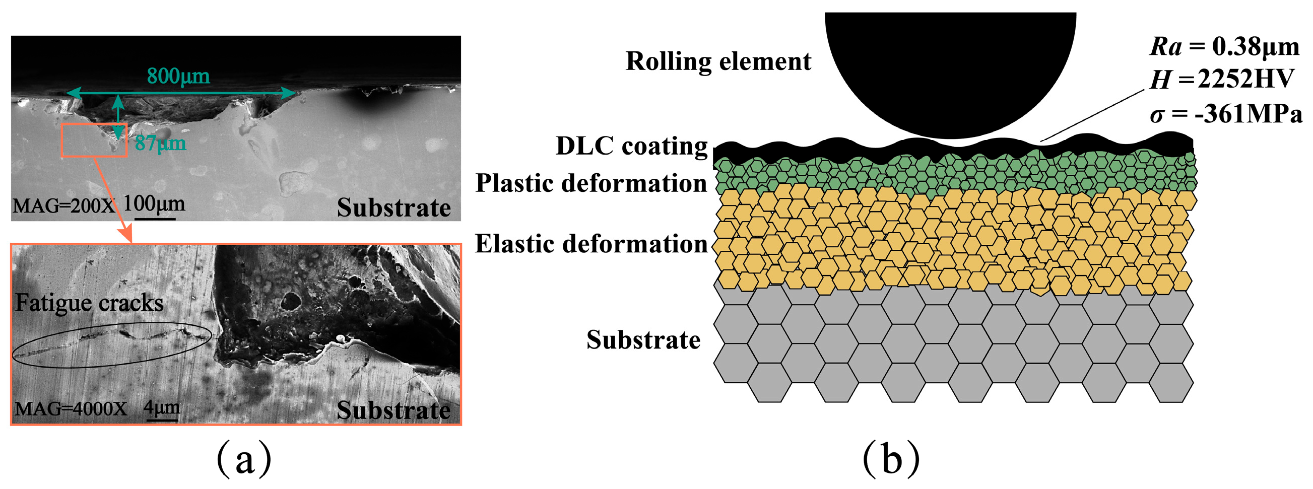 Coatings 15 00616 g016