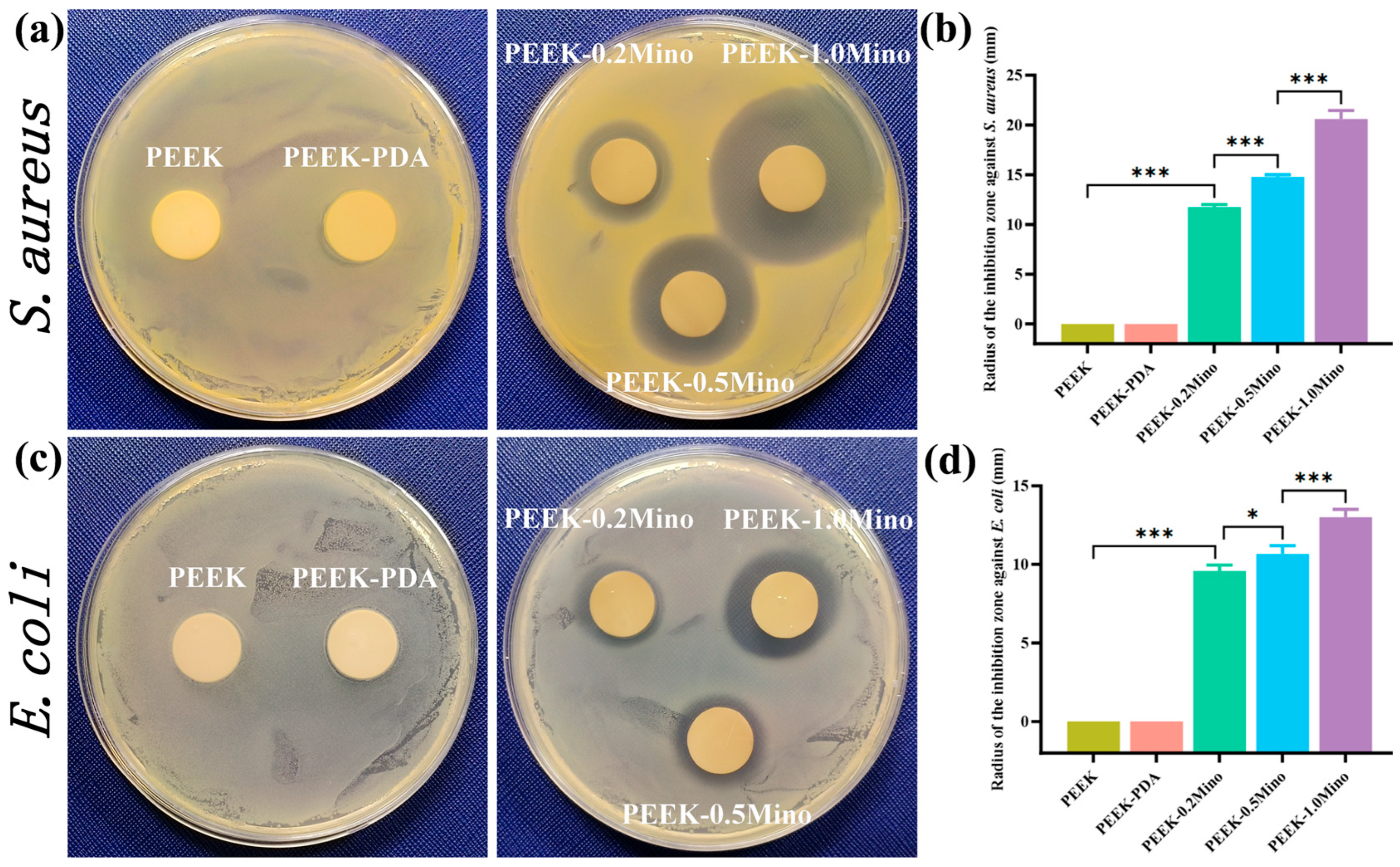 Coatings 15 00622 g006