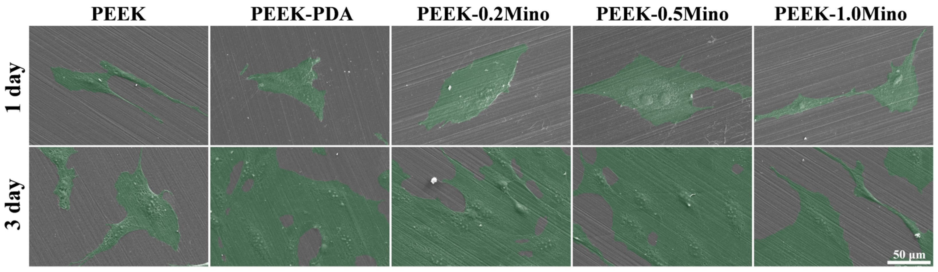 Coatings 15 00622 g009