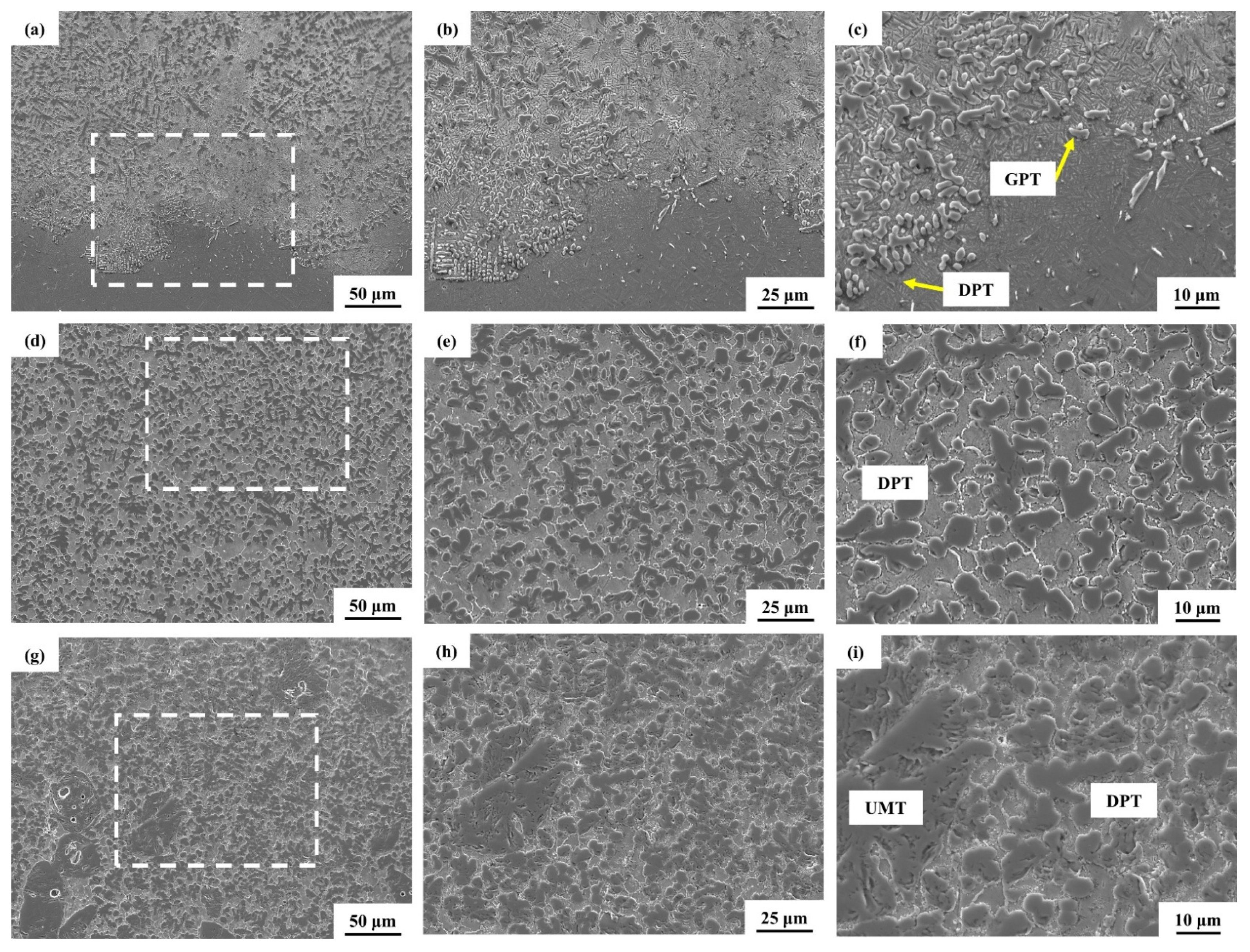 Coatings 15 00629 g010 Coatings 15 00629 g010