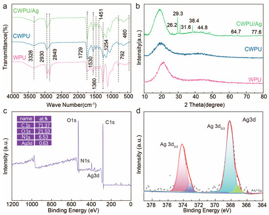 Coatings 15 00631 g004