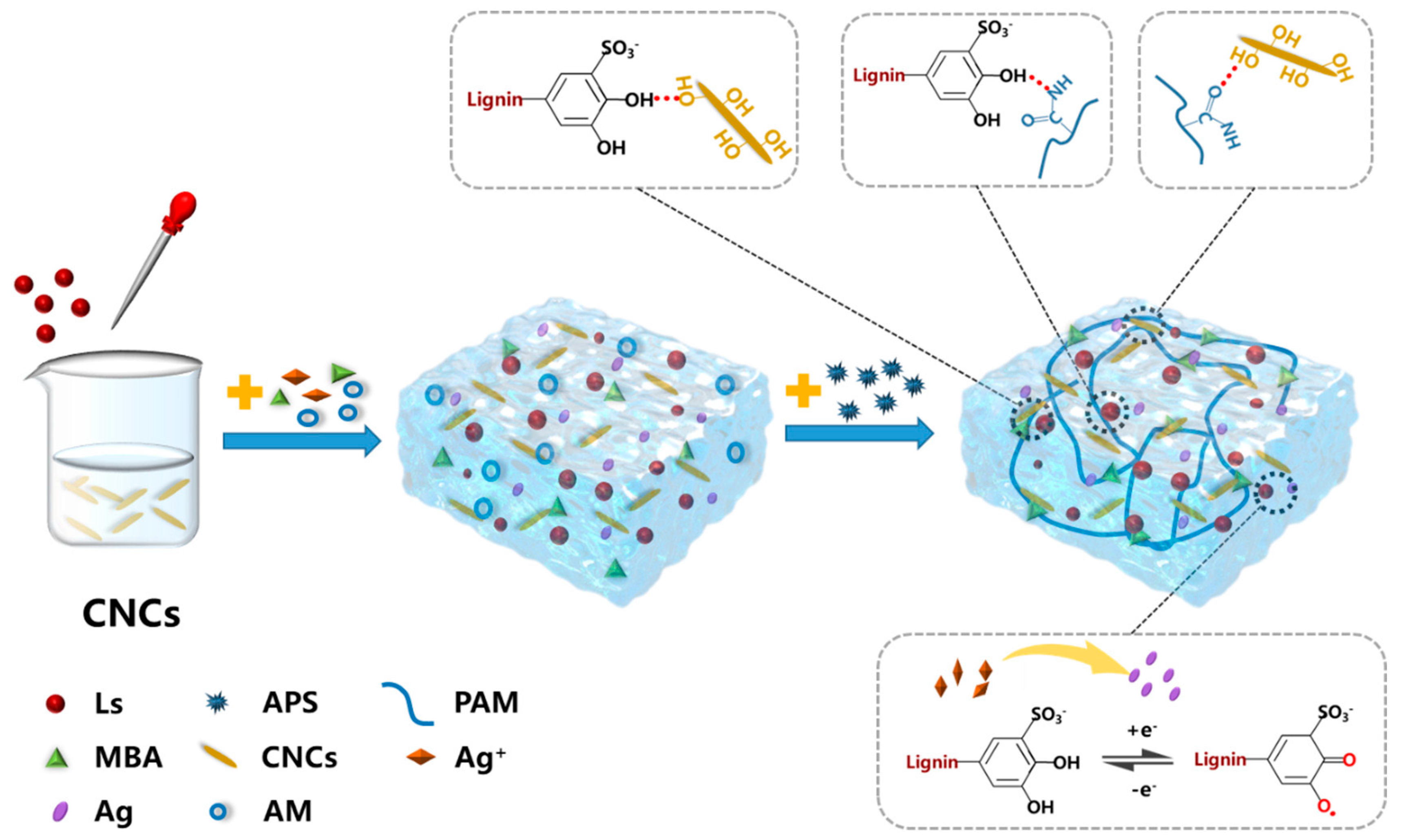 Coatings 15 00642 g004