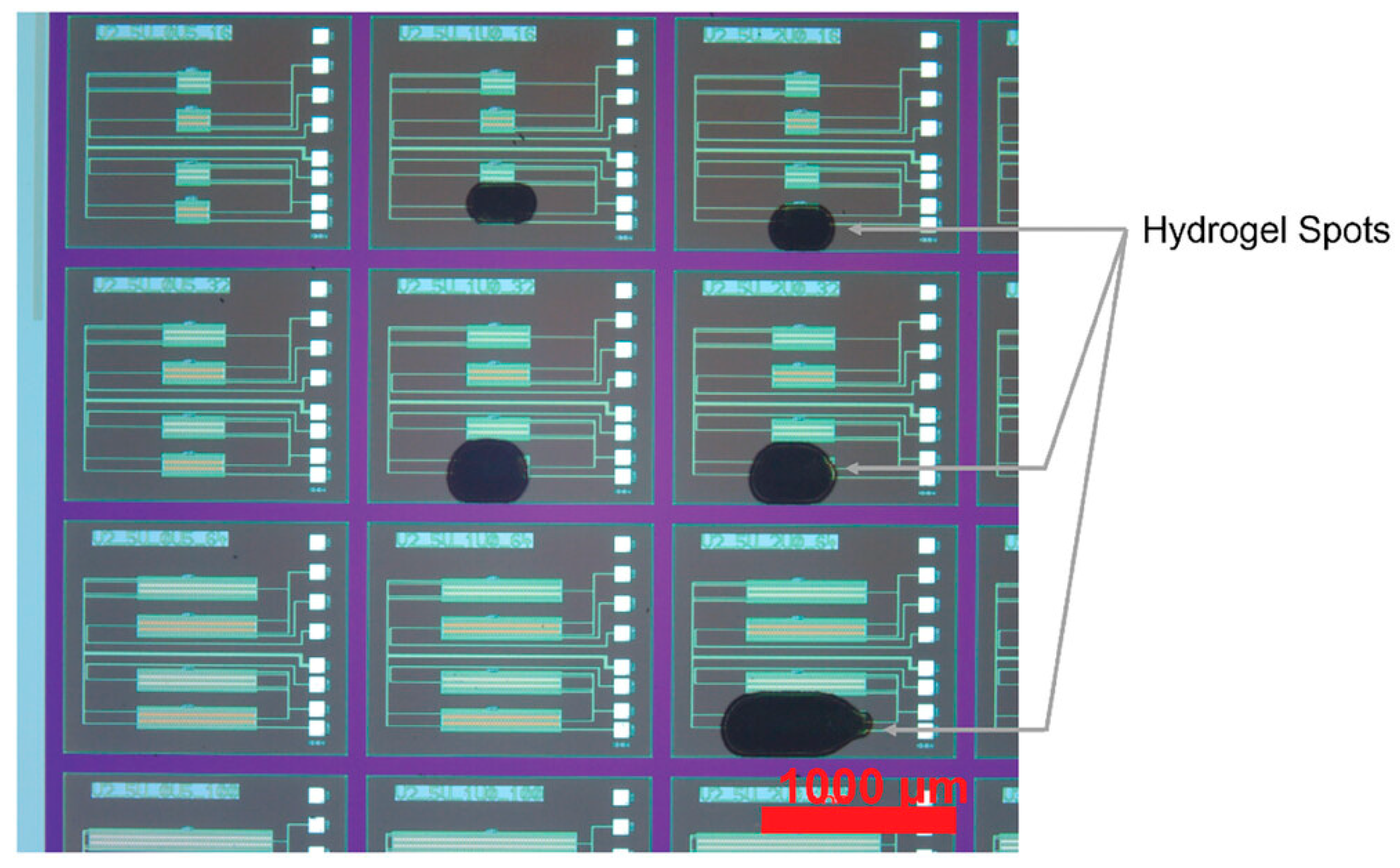 Coatings 15 00642 g005
