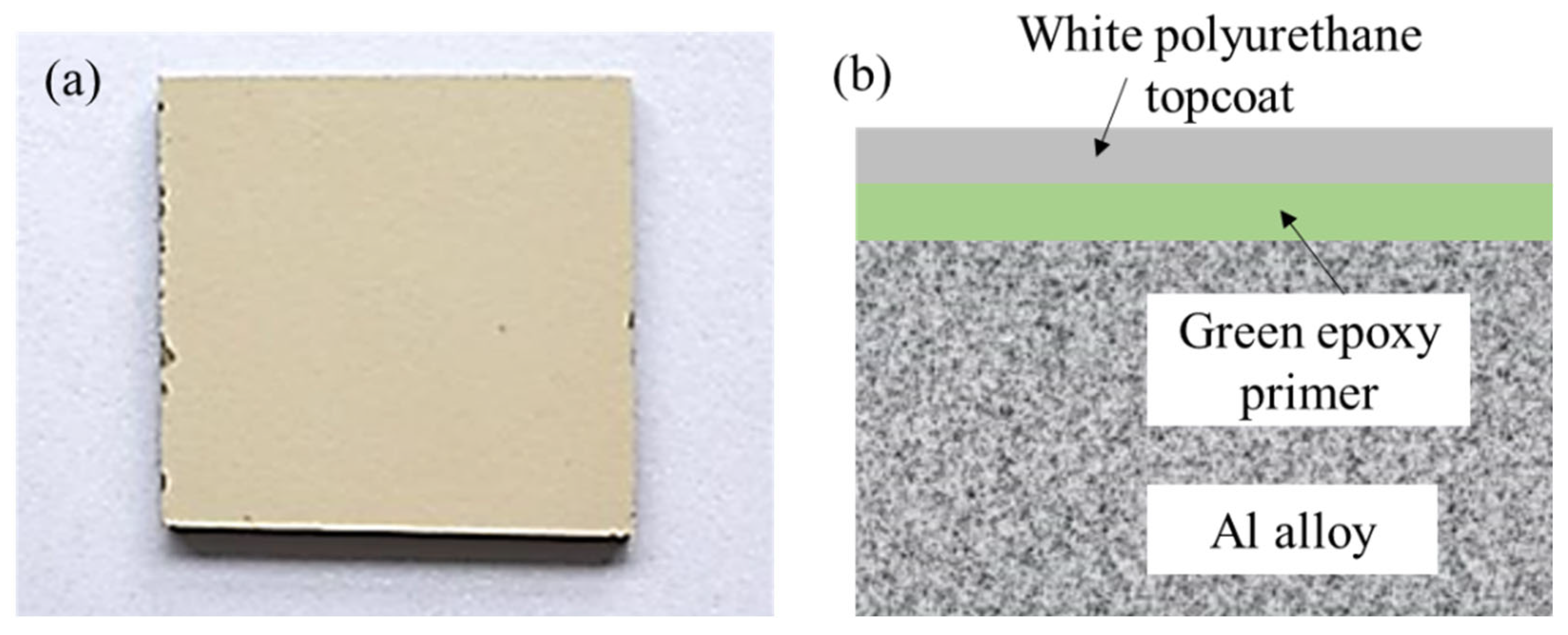 Coatings 15 00647 g001