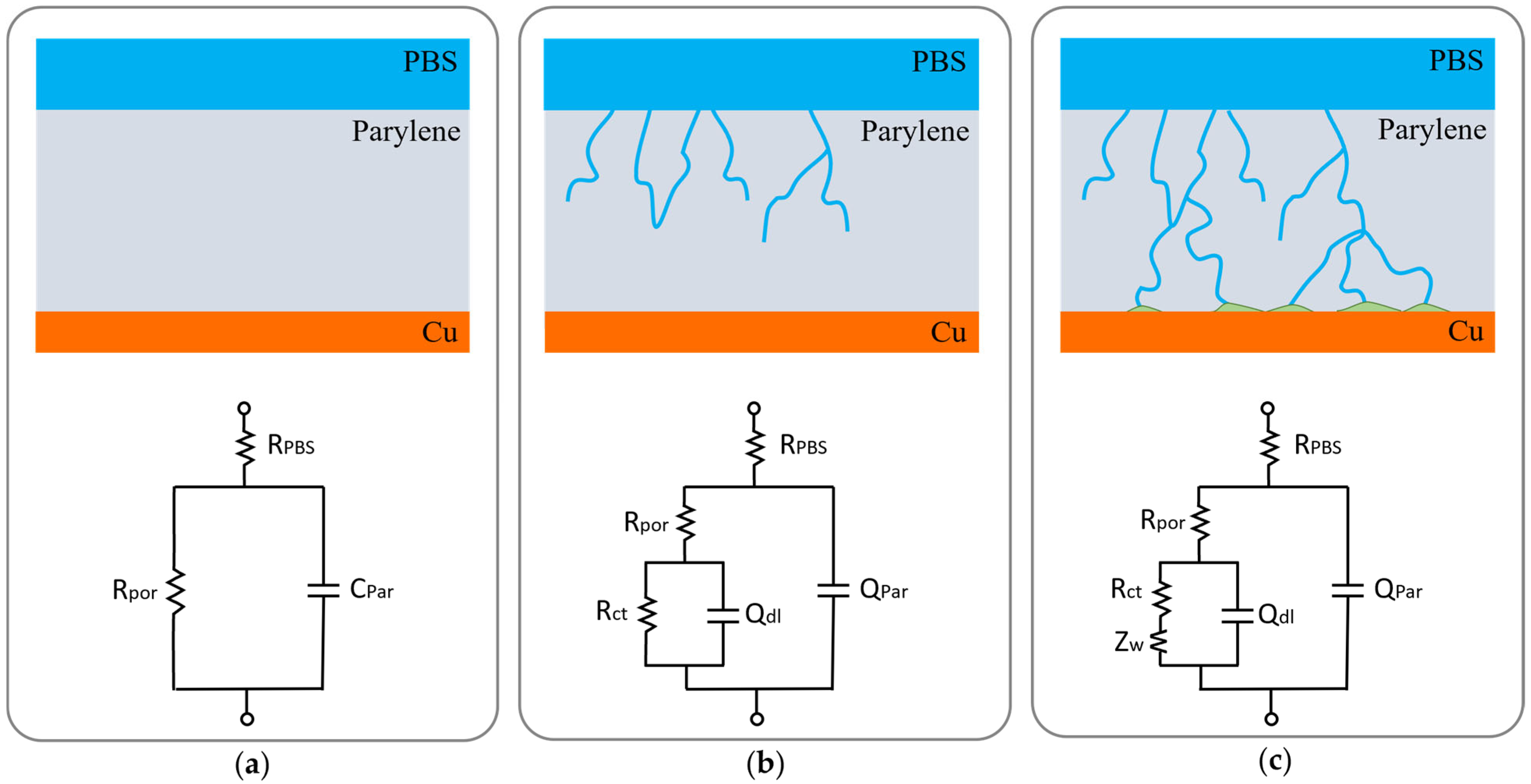 Coatings 15 00648 g003