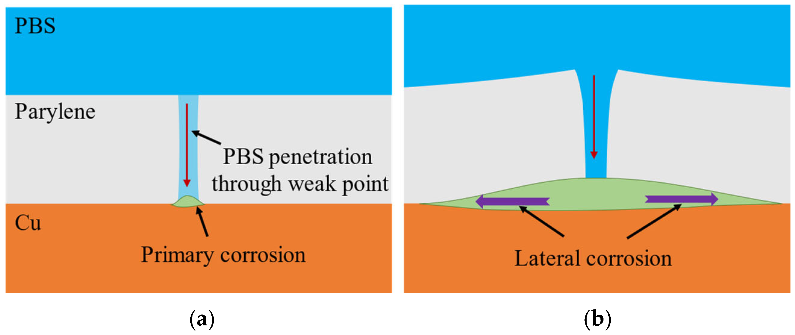 Coatings 15 00648 g013