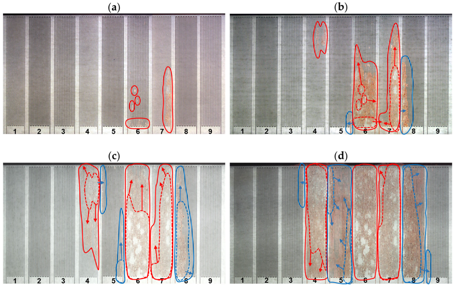 Coatings 15 00648 g014