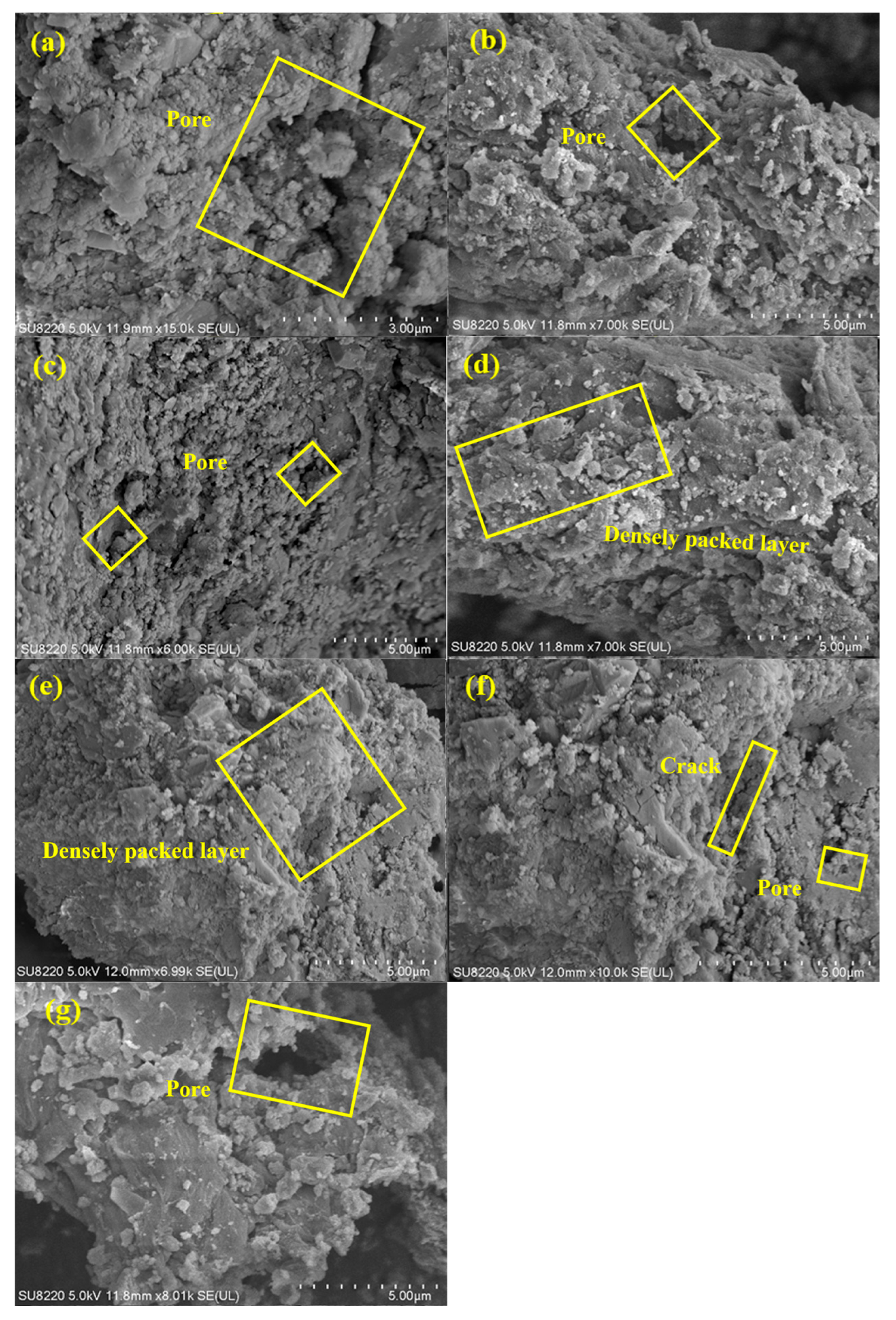 Coatings 15 00659 g007