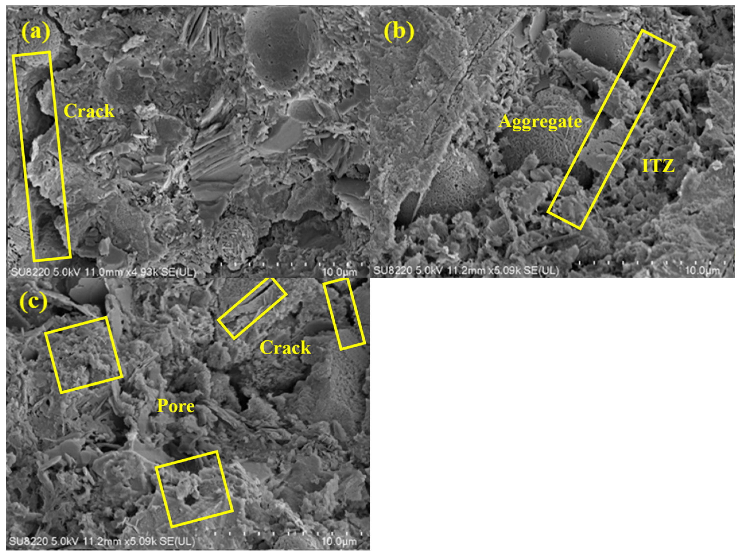 Coatings 15 00659 g011