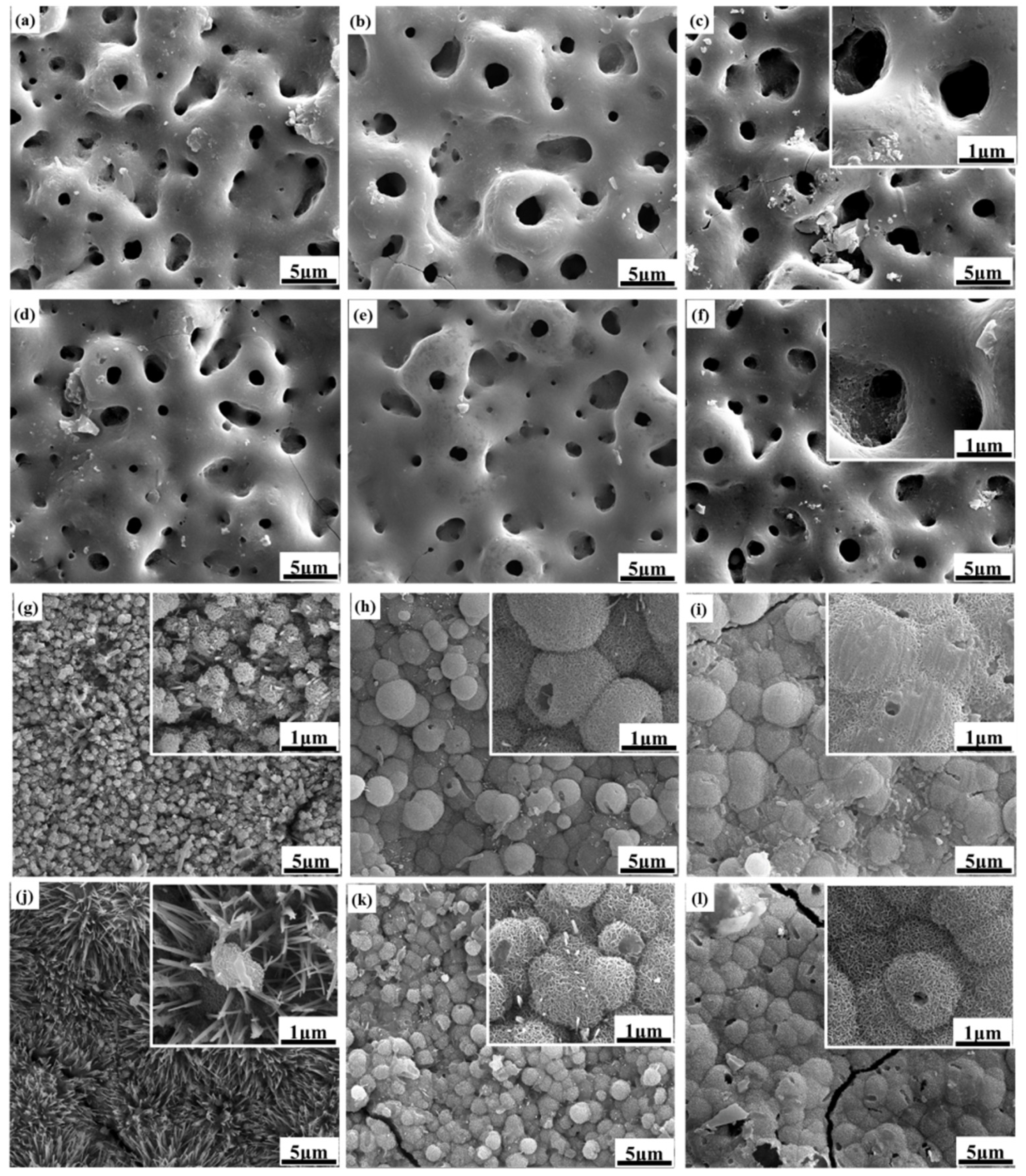 Coatings 15 00666 g007