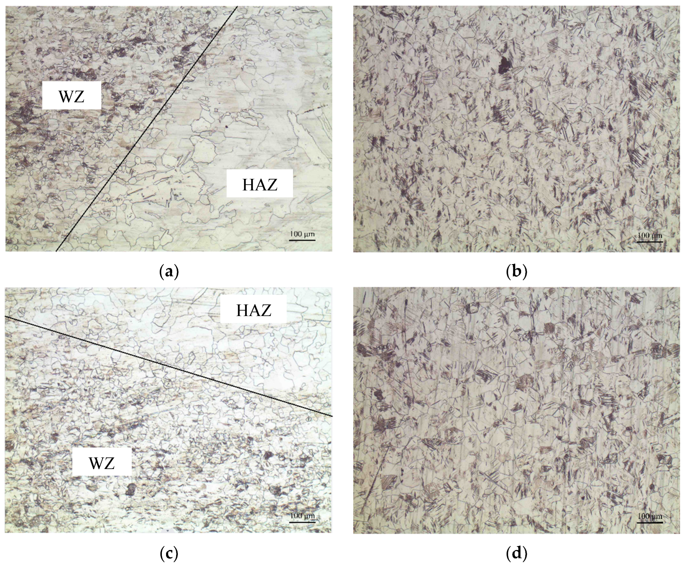 Coatings 15 00687 g004